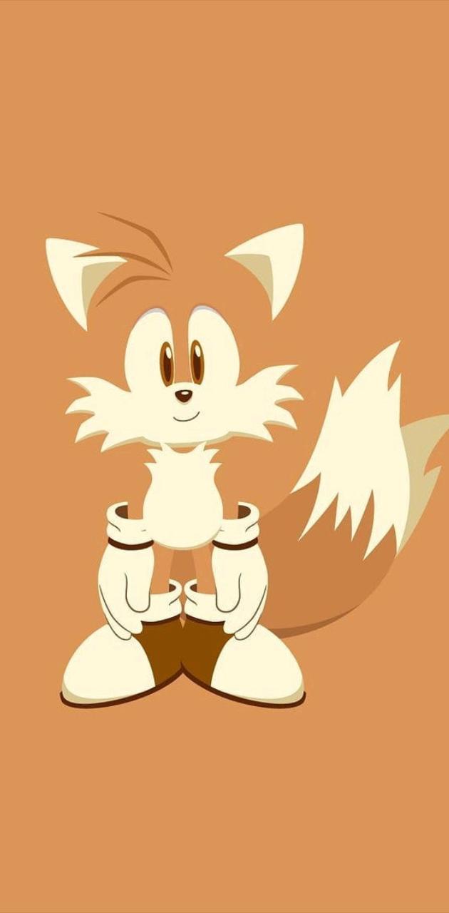 Tails Wallpapers  Top Free Tails Backgrounds  WallpaperAccess