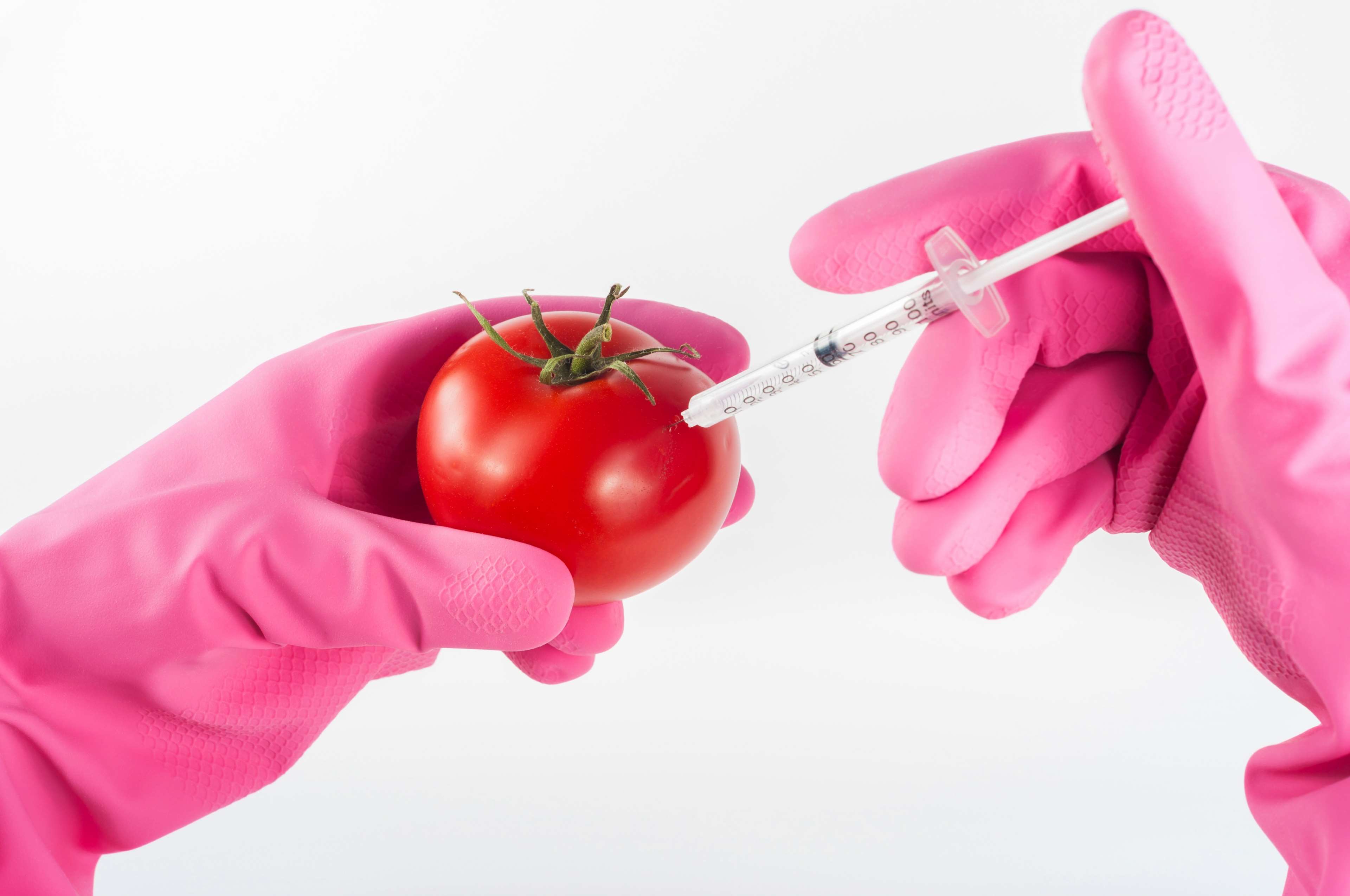 biotechnology, bright, chemical, chemistry, close up, color, concept, dna, experiment, food, fresh, gloves, hands, inject, injection, laboratory, medical, modification, needle, organic, red, research, science, syringe, 4k Gallery HD