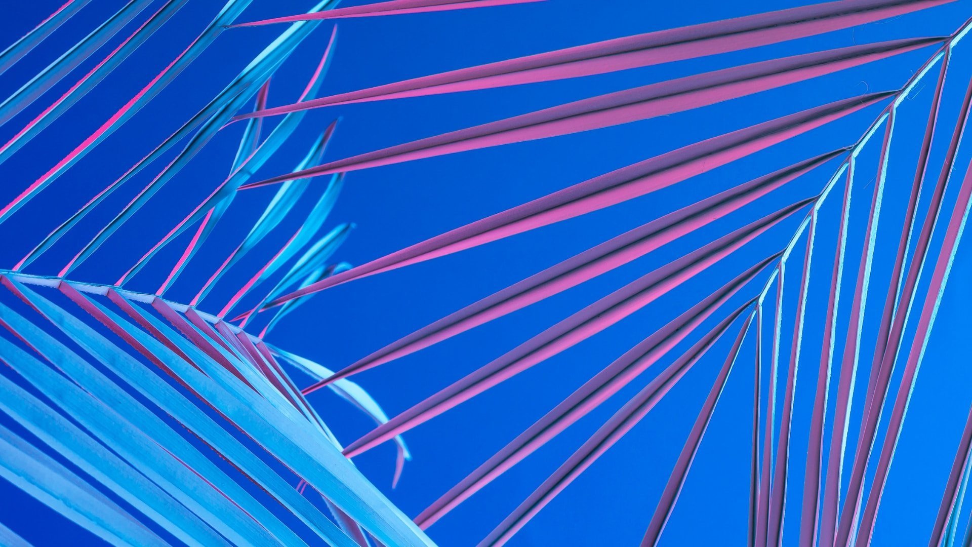 beautiful free desktop wallpaper for download