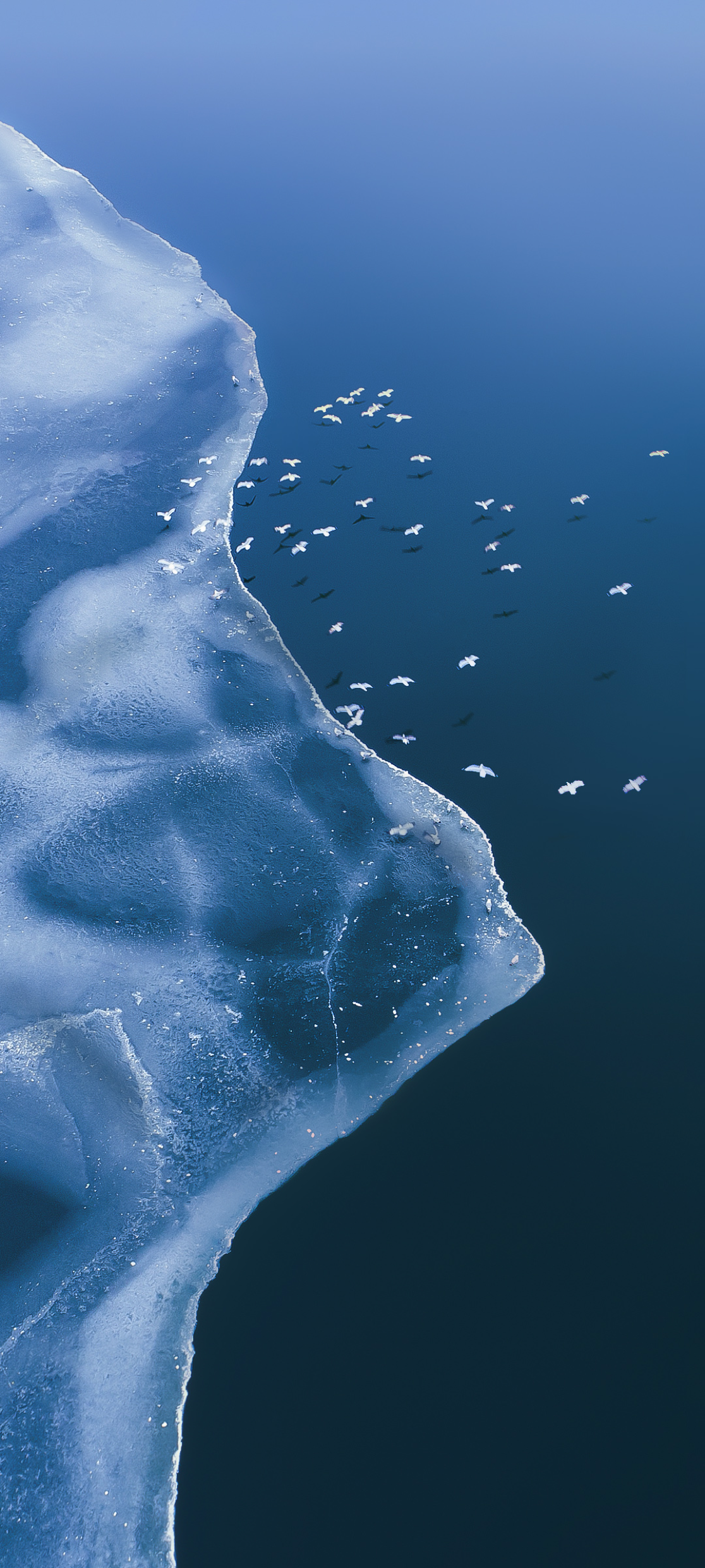 Nubia Red Magic 8 Pro wallpaper