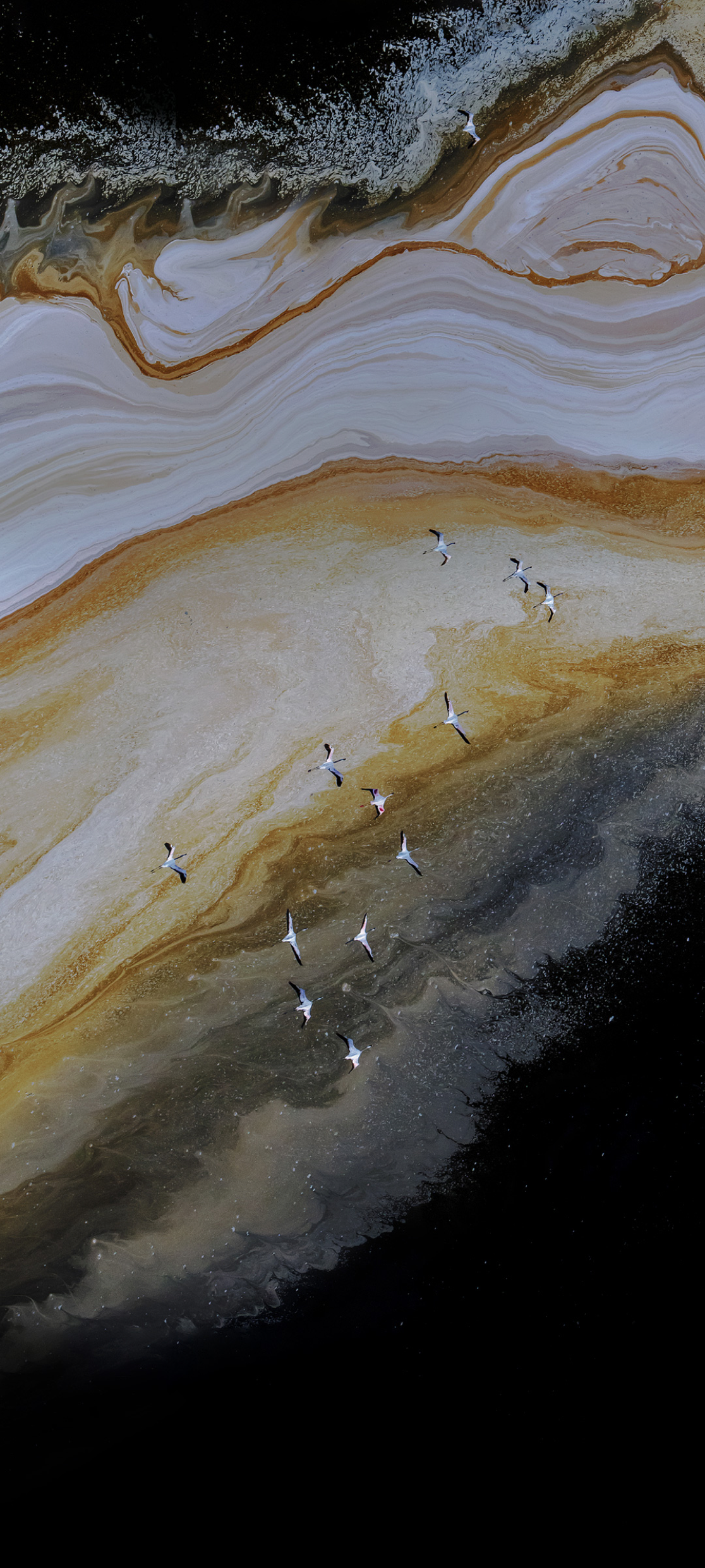 Nubia Red Magic 8 Pro wallpaper