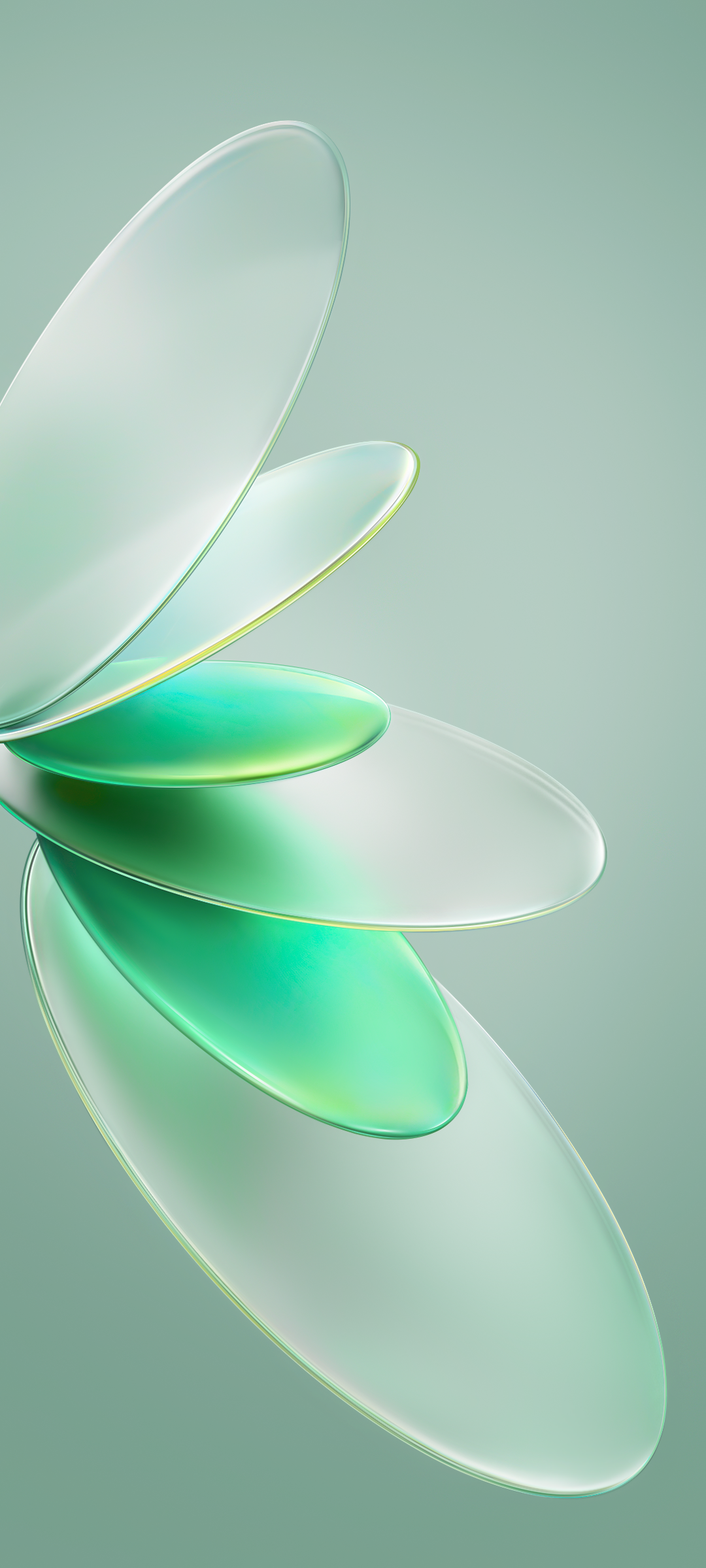 Vivo S16 Pro wallpaper