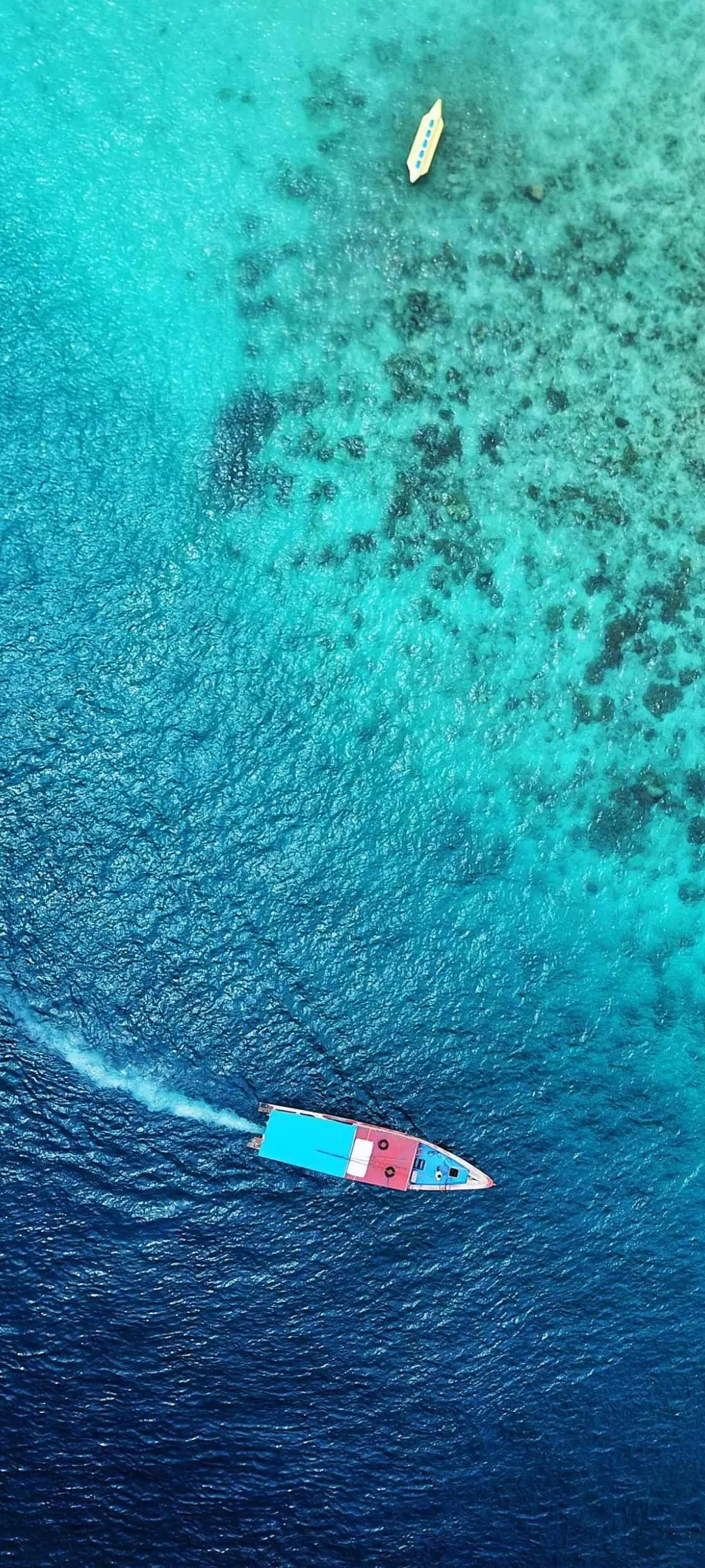 Vivo S16 Pro wallpaper