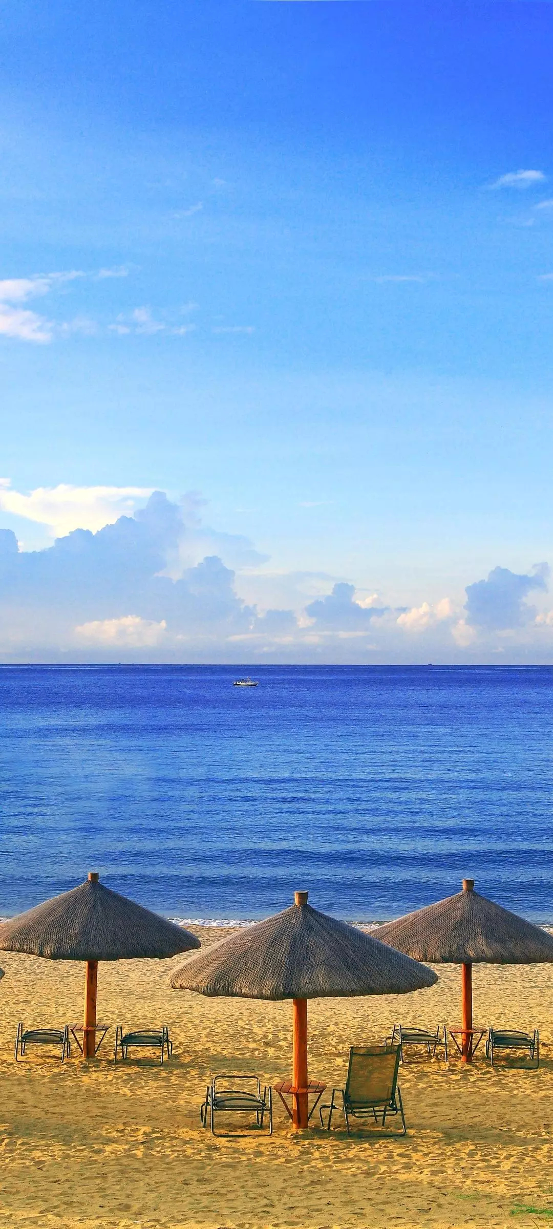 Vivo S16 Pro wallpaper