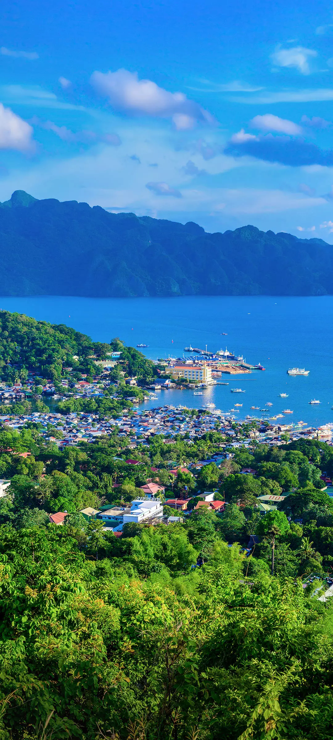 Vivo S16 Pro wallpaper