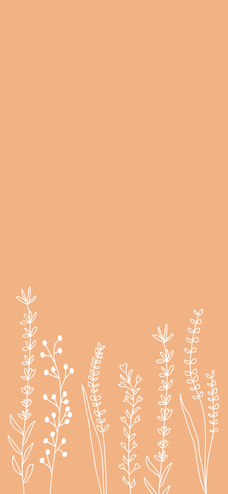 Free Minimal Floral Phone Wallpaper #free #wallpaper #iphone #floral #lineart #wild. Floral wallpaper iphone, iPhone background wallpaper, Simple iphone wallpaper