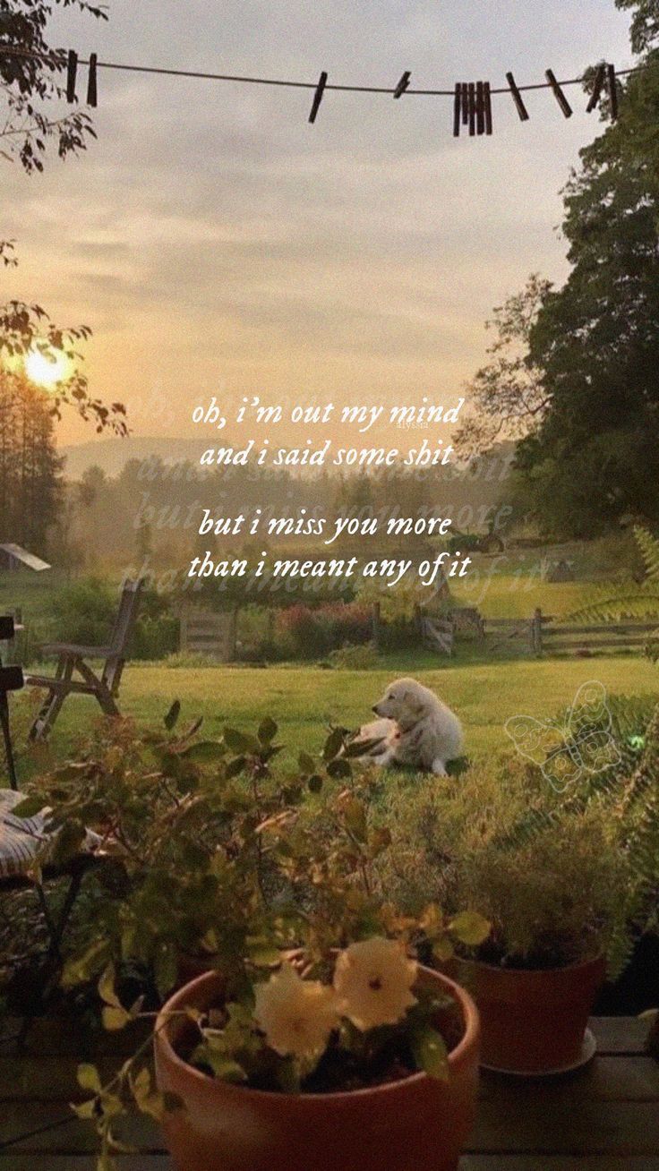 villain peters (lyric wallpaper). Photo dump, Scenery wallpaper, Wind in my hair
