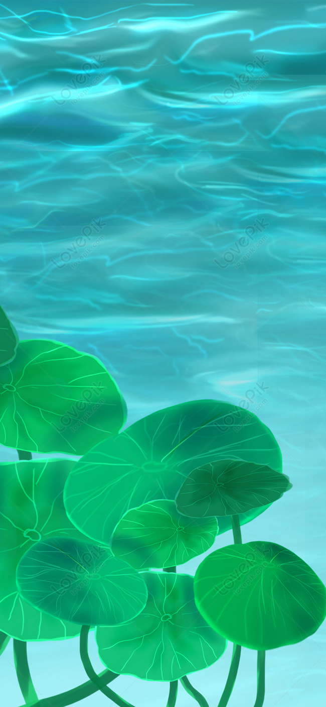 Lotus Leaf Handset Wallpaper Image Free Download