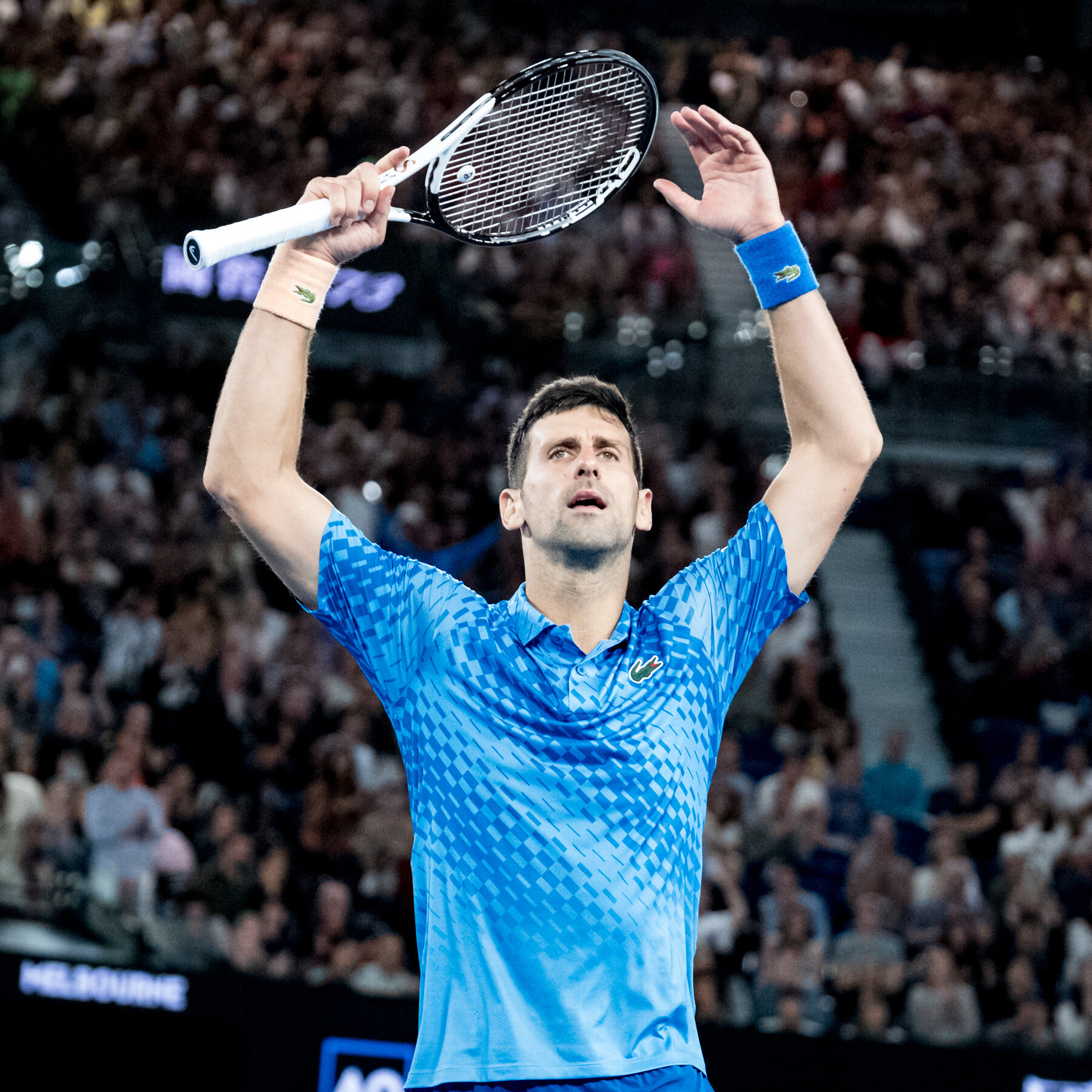 At the Australian Open, Novak Djokovic Wins But Andy Murray Loses
