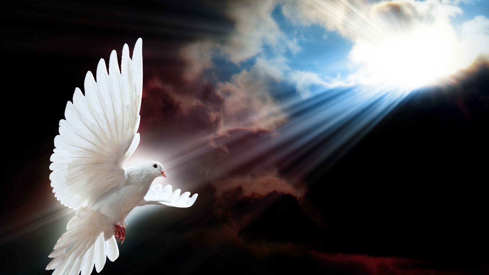 Holy Spirit Wallpaper