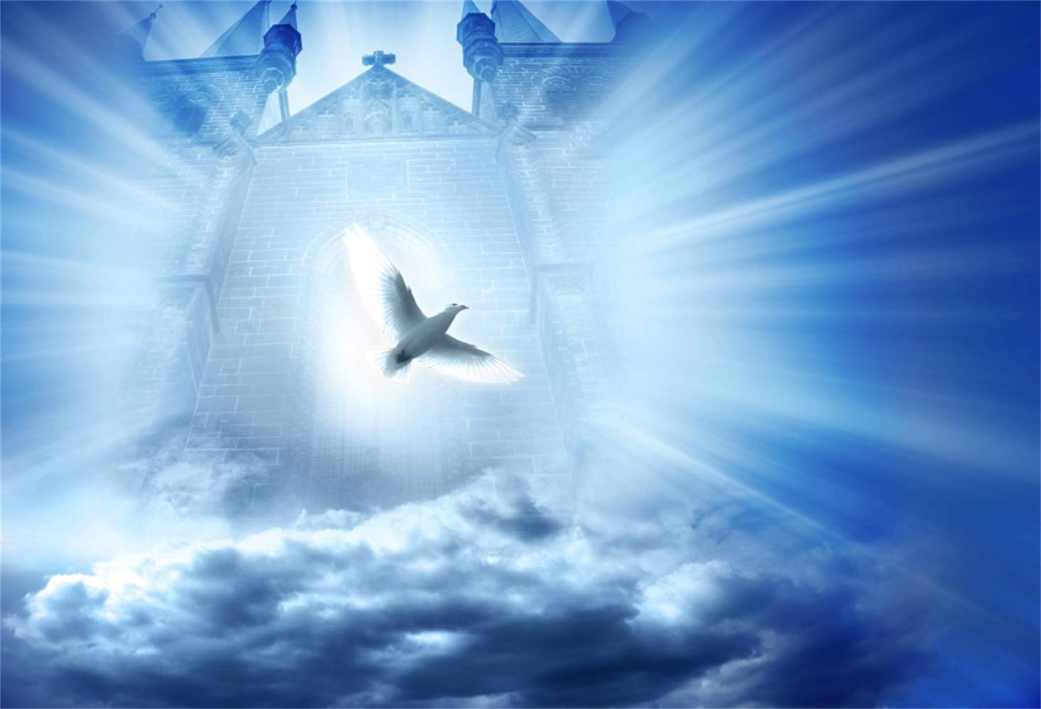 Amazon.com, Laeacco 8x6.5ft Holy Spirit Dove Light Rays from The Gate of Heaven Backdrop Vinyl Sea of Clouds Paradise Pentecost Background Church Bible School Event Activities Wallpaper Jesus Christian Belief