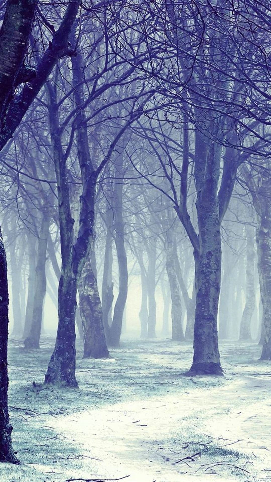 tree snow winter nature forest iPhone 6 wallpaper HD