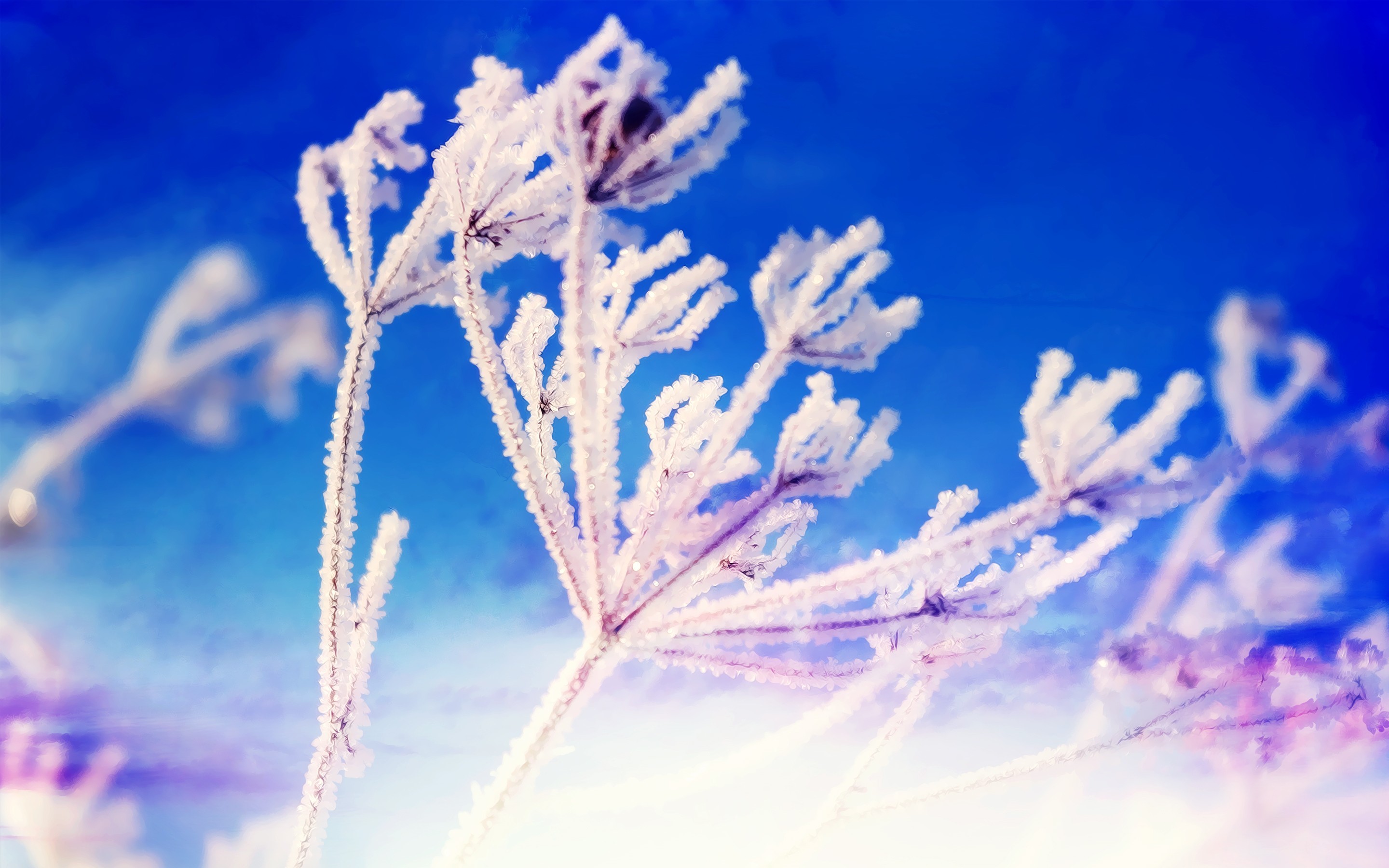 Wallpaper / nature, winter, snow free download