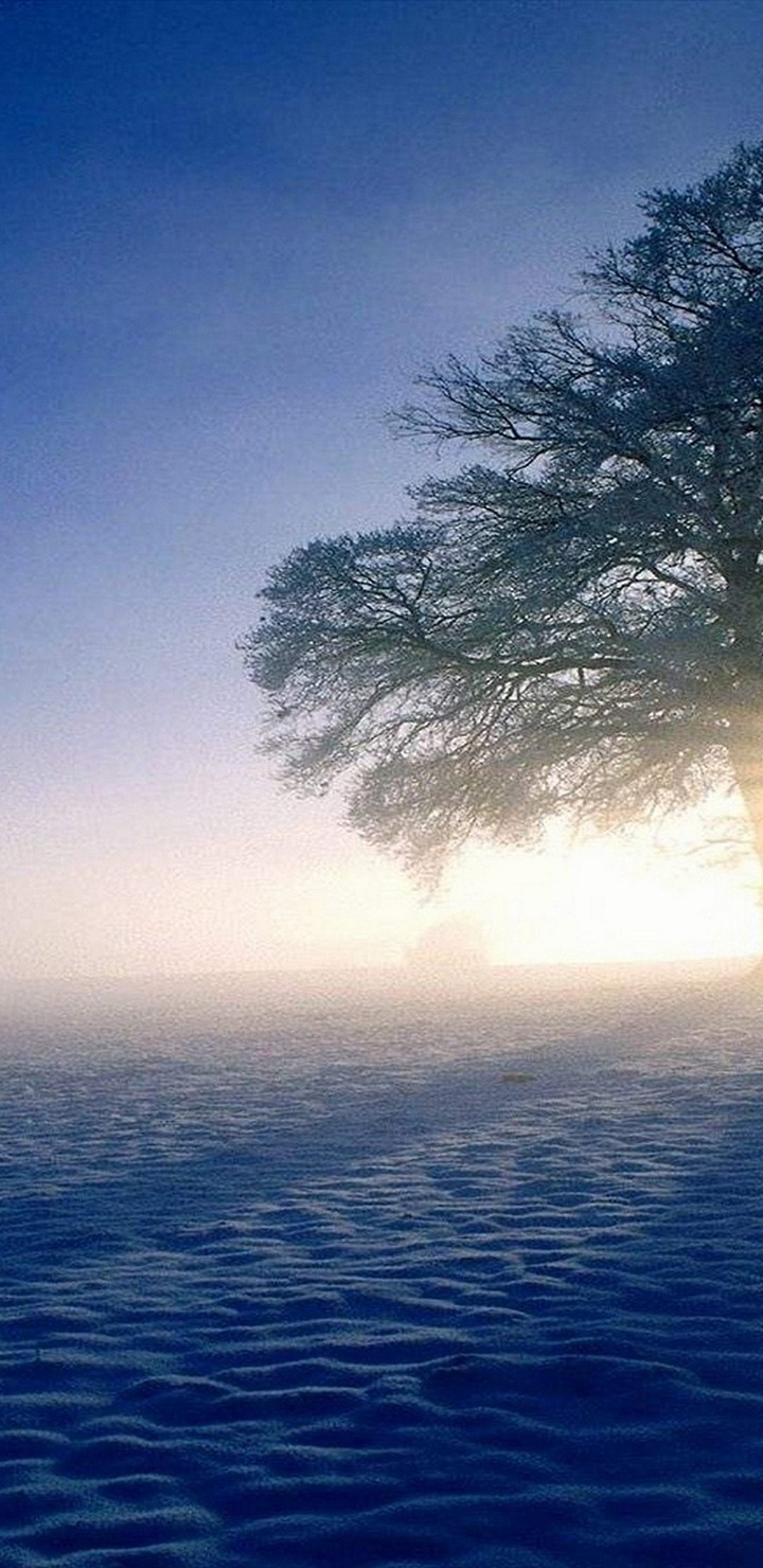 Plandscapes Nature Winter Snow Sun Ultra HD Wallpaper - [720x1480]