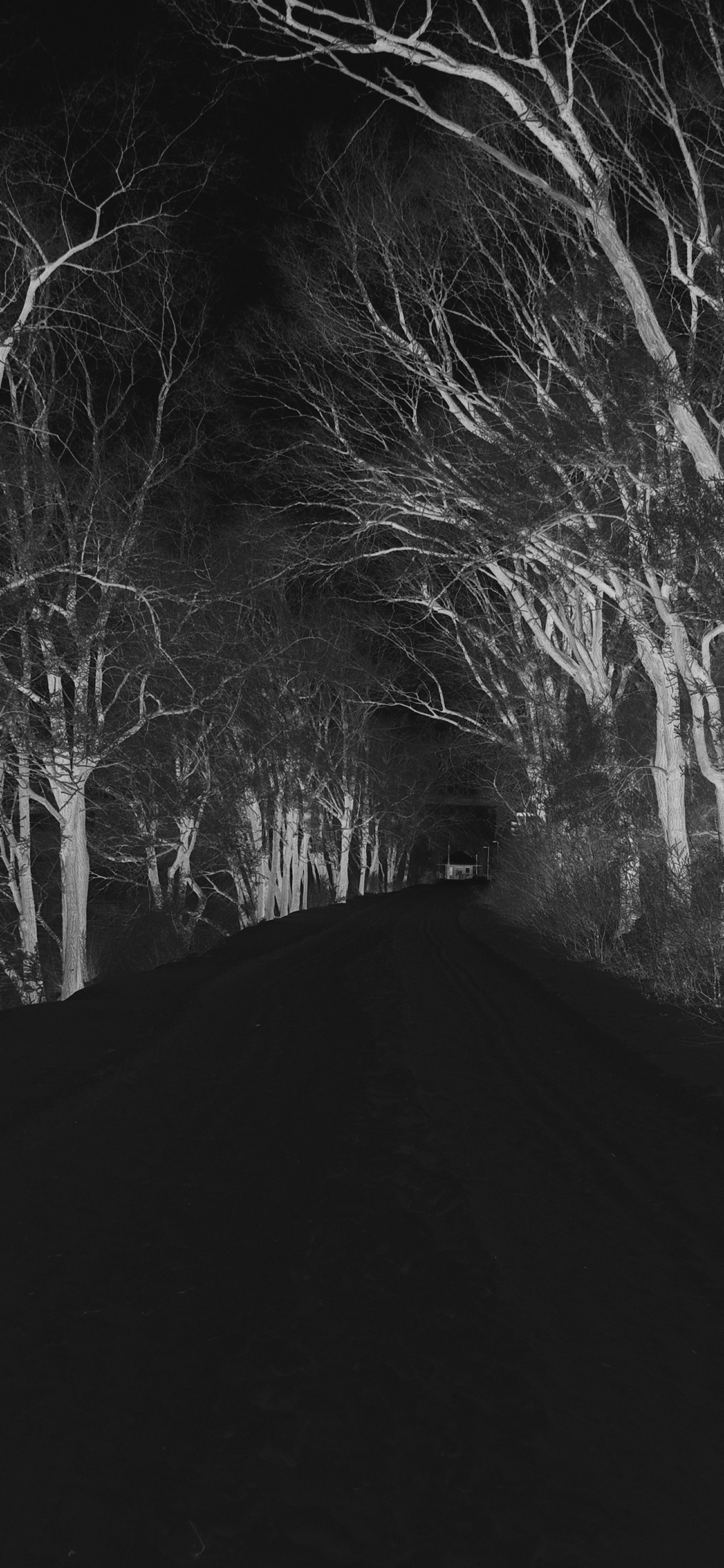 iPhoneXpapers scary road nature mountain dark