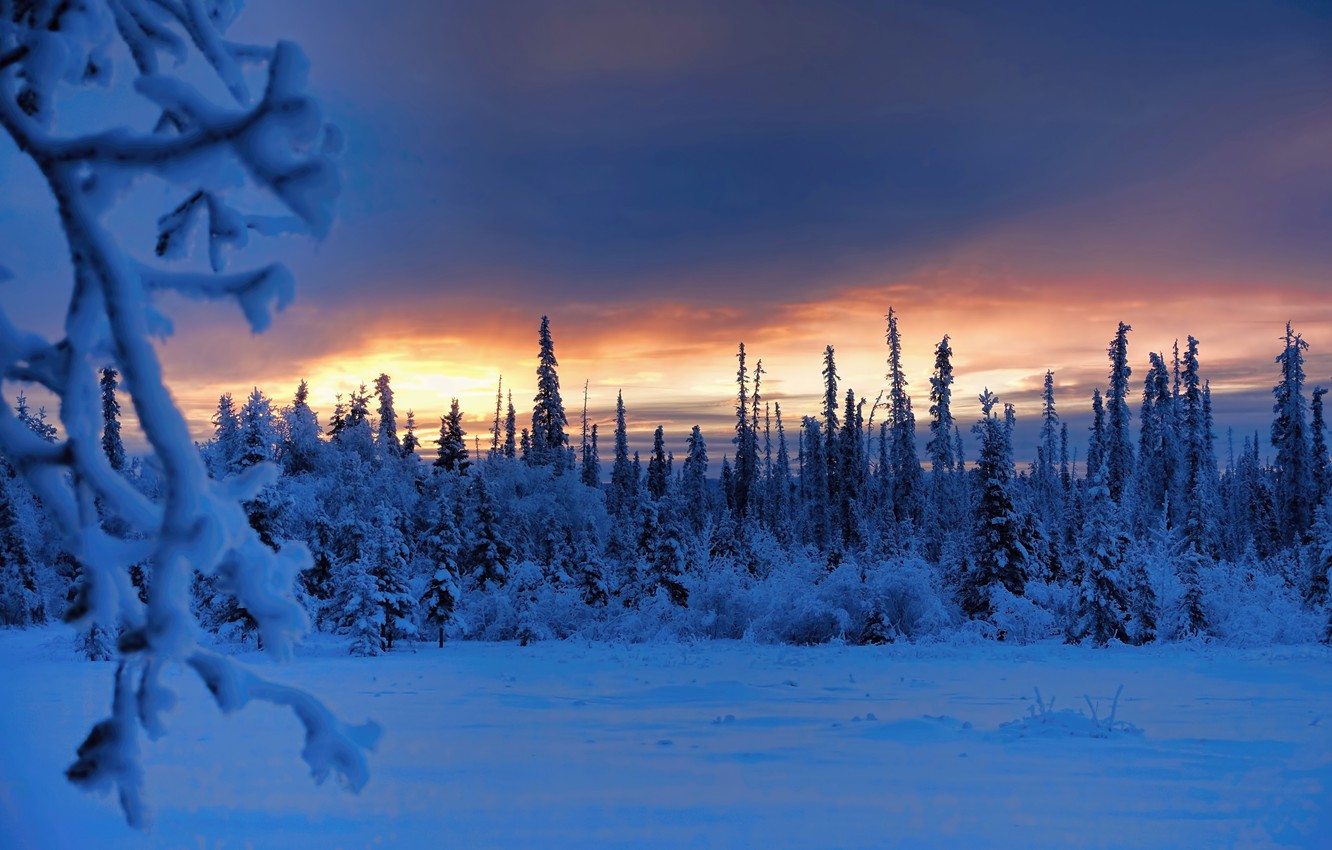 Alaska Winter Frost Wallpapers - Wallpaper Cave