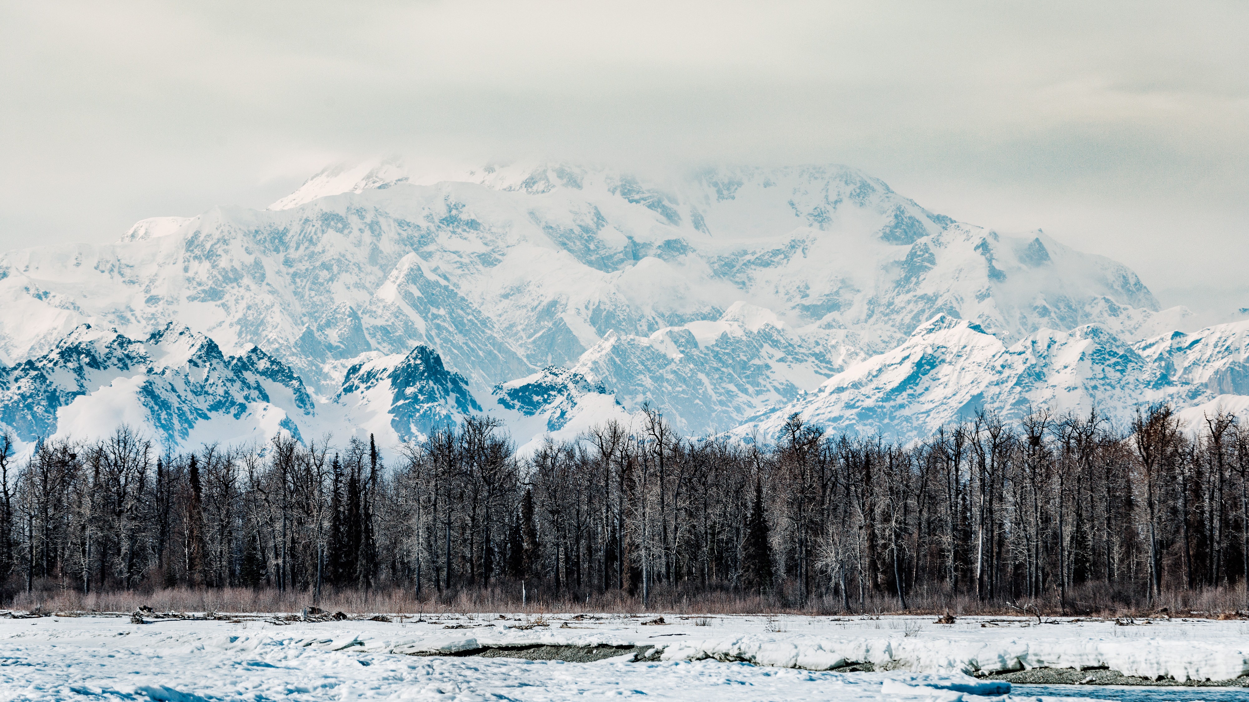 To Best Experience Alaska's Burgeoning Local Food Movement, Go in Winter. Condé Nast Traveler