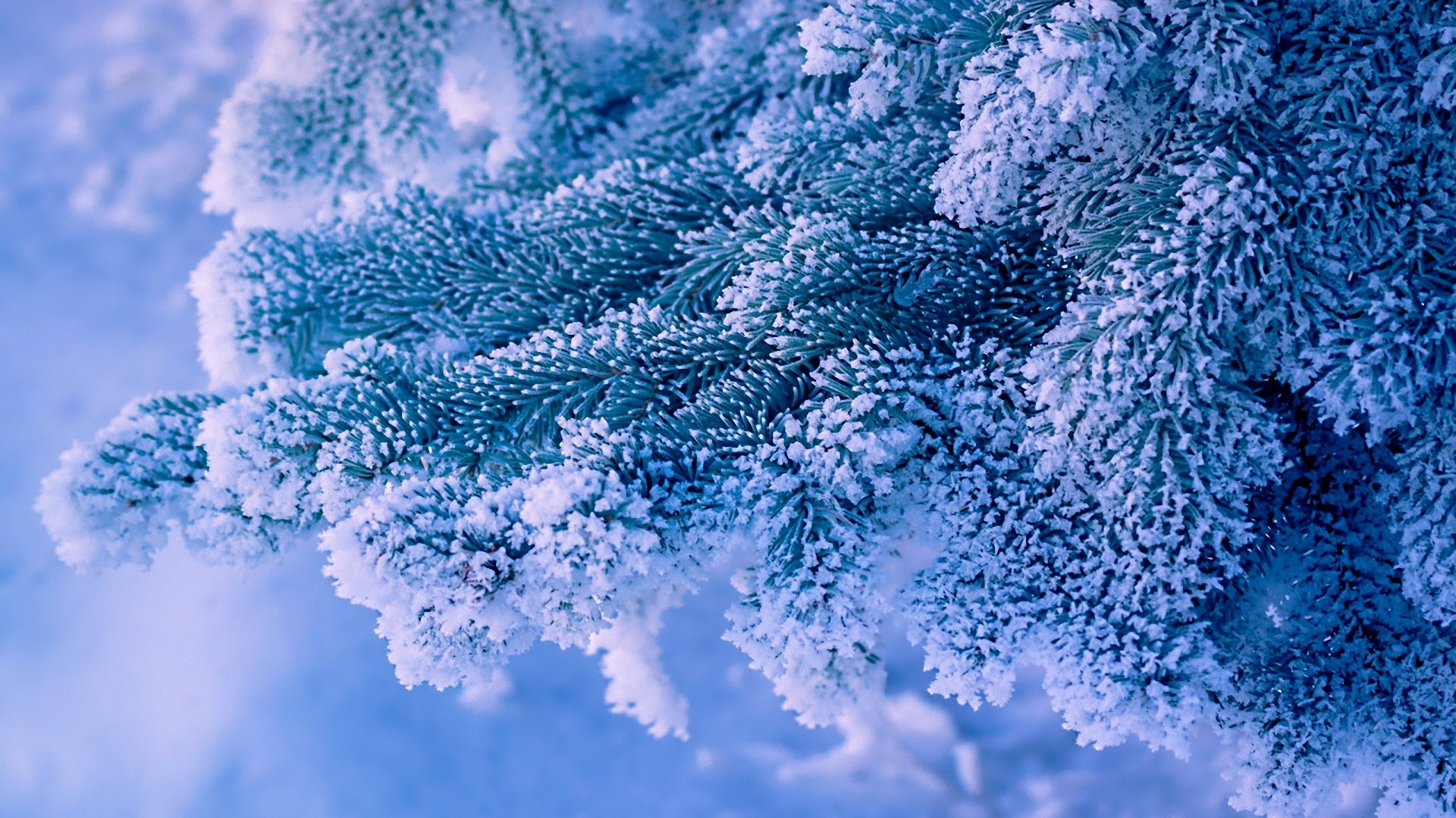 Ice Blue, cold, dark, ze, frost, frozen, snow, winter, HD wallpaper | Peakpx