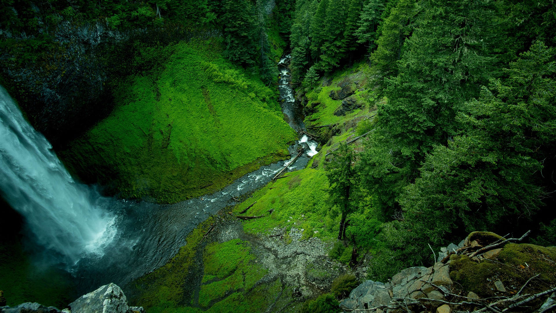 Spring Jungle Valley Waterfall