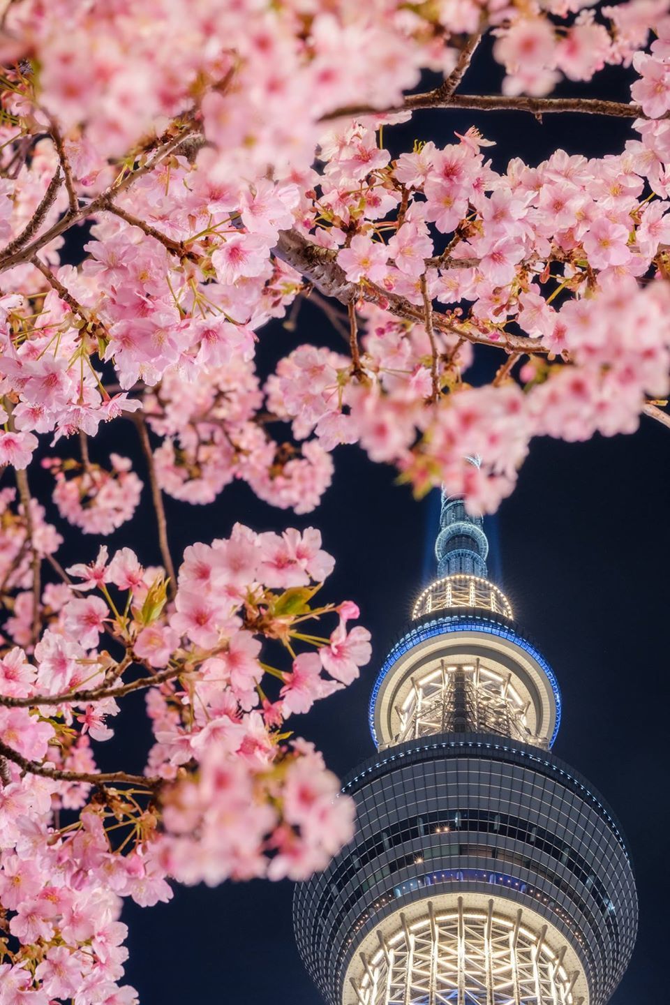 東京カメラ部 Editor's Choice：Naoya Takahashi. Korea wallpaper, Scenery wallpaper, Anime scenery wallpaper