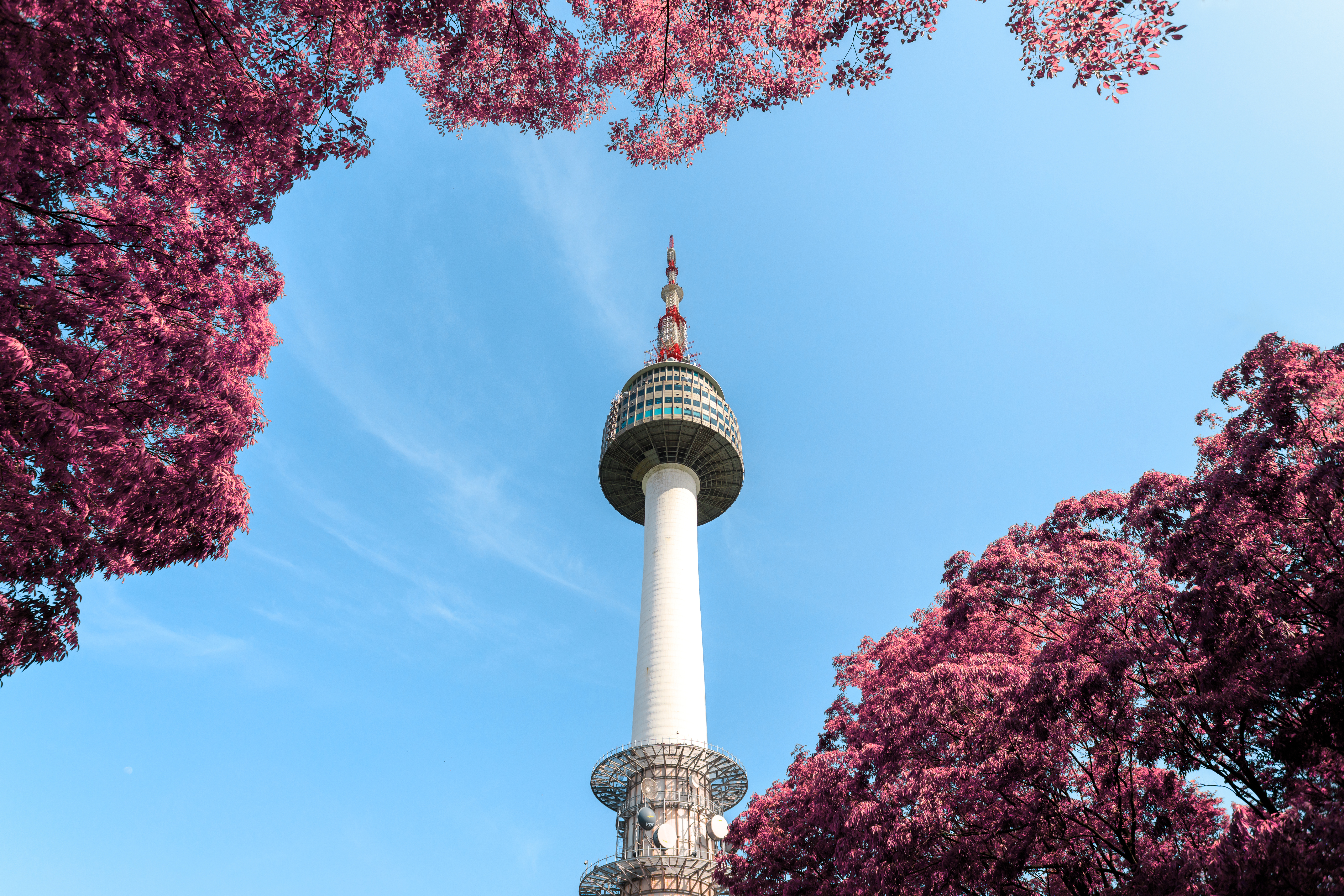 Low Angle Photo Of N Seoul Tower · Free