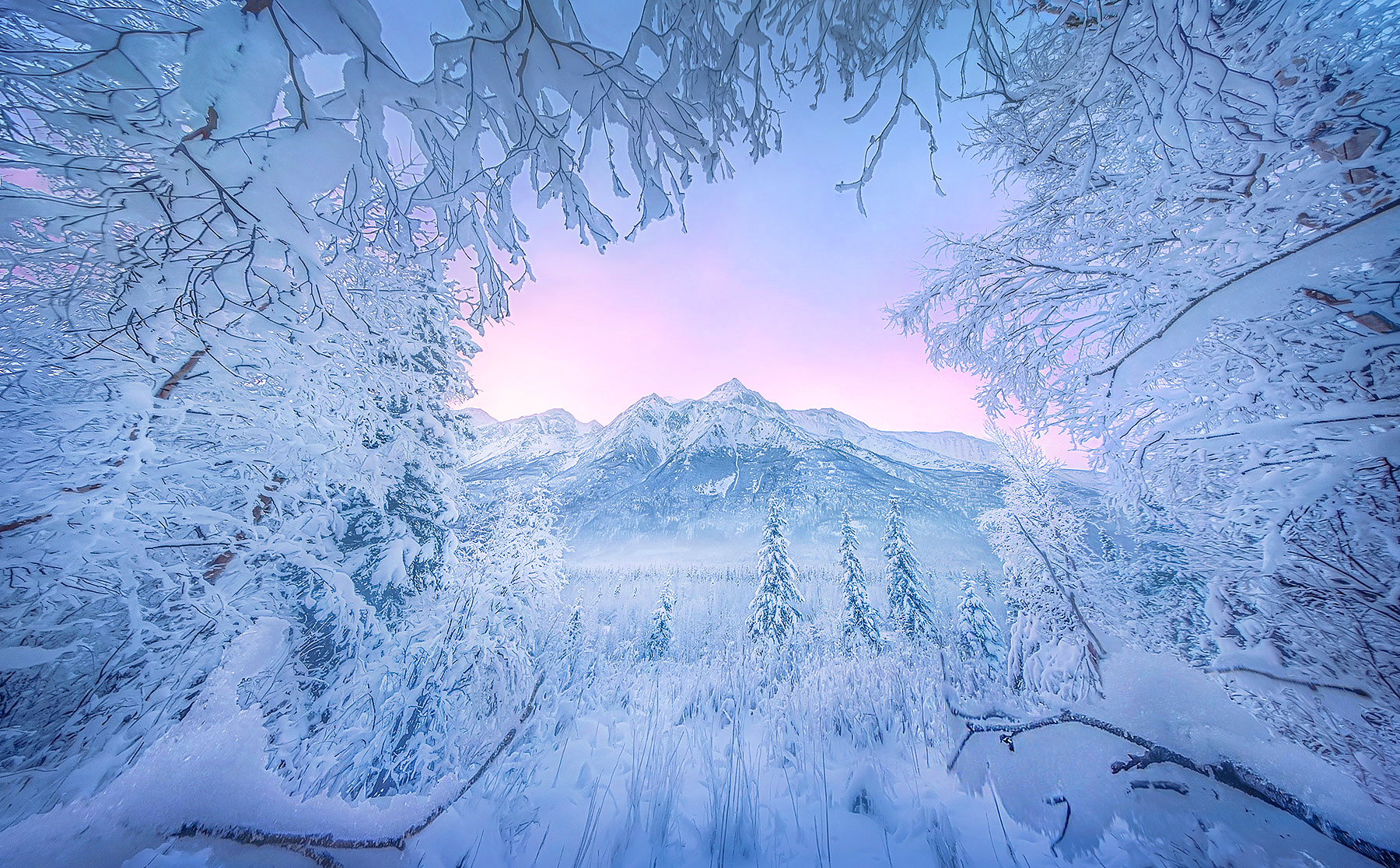 Snow Land. Chugach Range, Alaska. Marc Adamus Photography