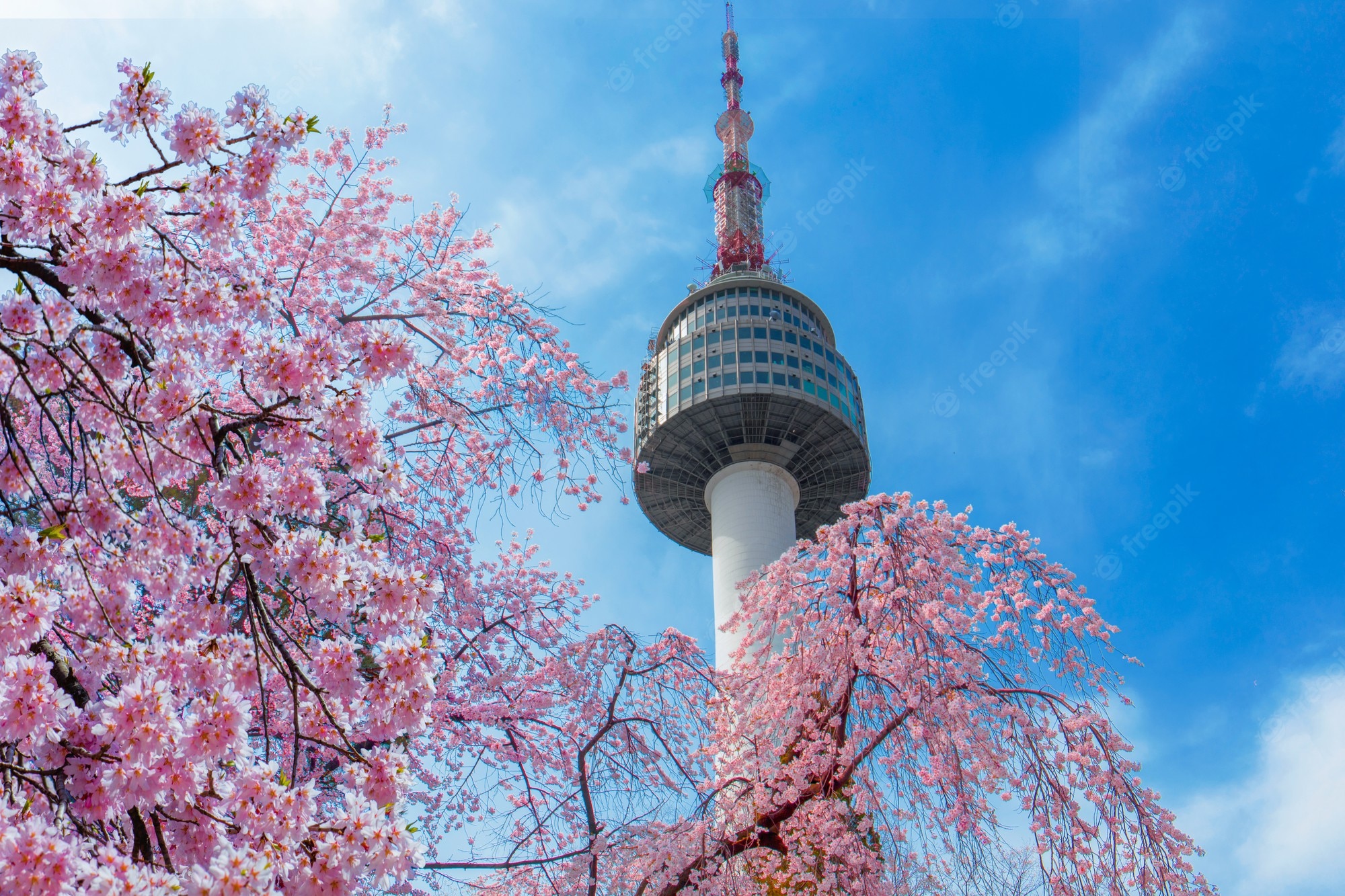 Spring Seoul Wallpapers - Wallpaper Cave