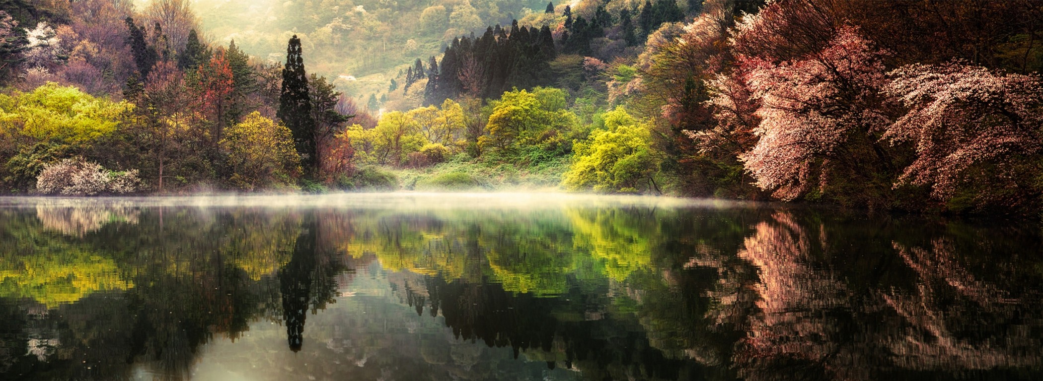 mist, spring, morning, lake, reflection, mountains, forest, trees, nature, landscape, water, South Korea Gallery HD Wallpaper