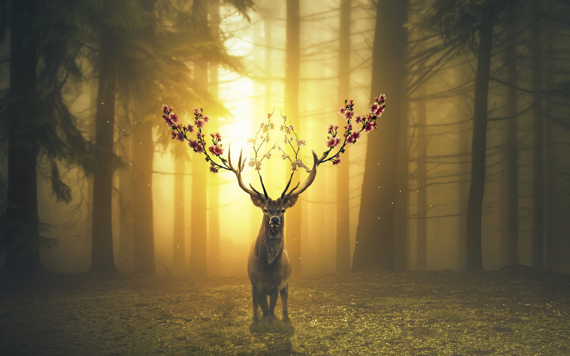 Wallpaper / deer, spring, surreal, flowers, nature, trees, Sun, grass, digital art free download