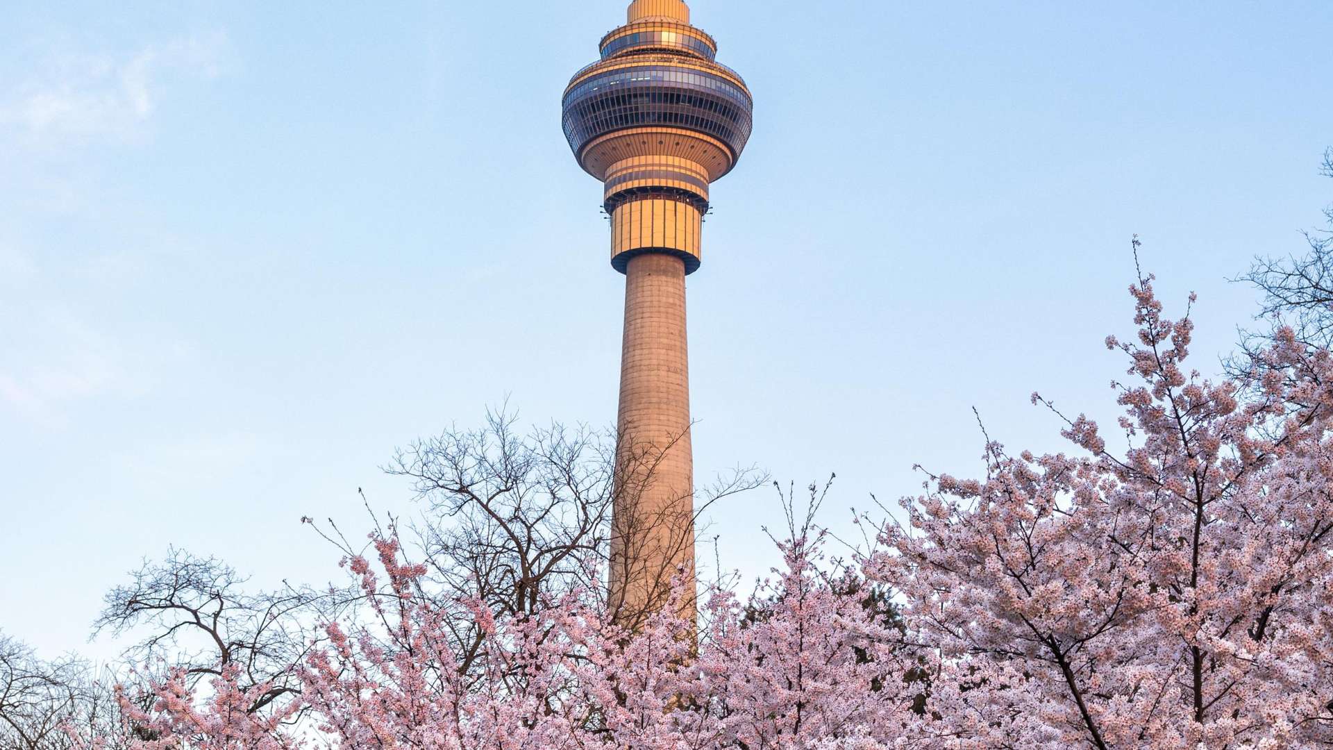 A Place for All Seasons in Beijing. 불가리 호텔 베이징