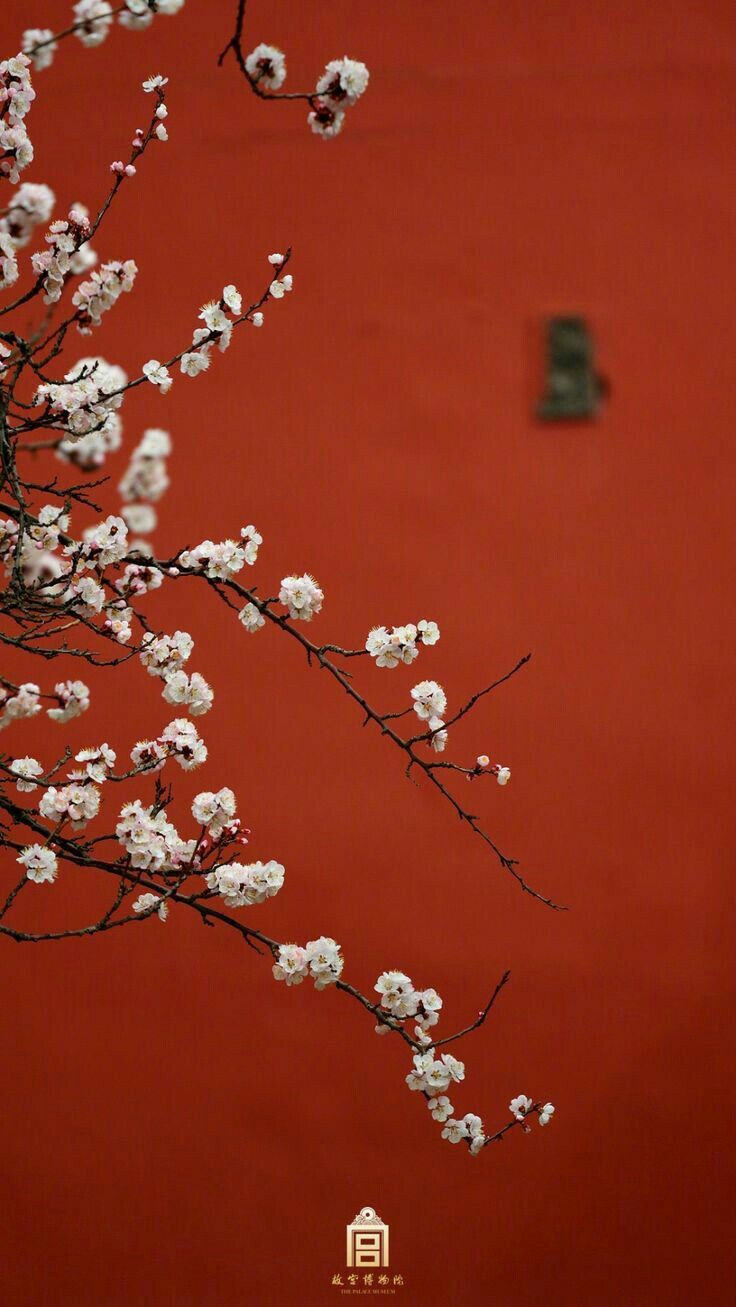 ¤Trung Quốc Phong¤. Japanese art prints, Art wallpaper, Flower phone wallpaper