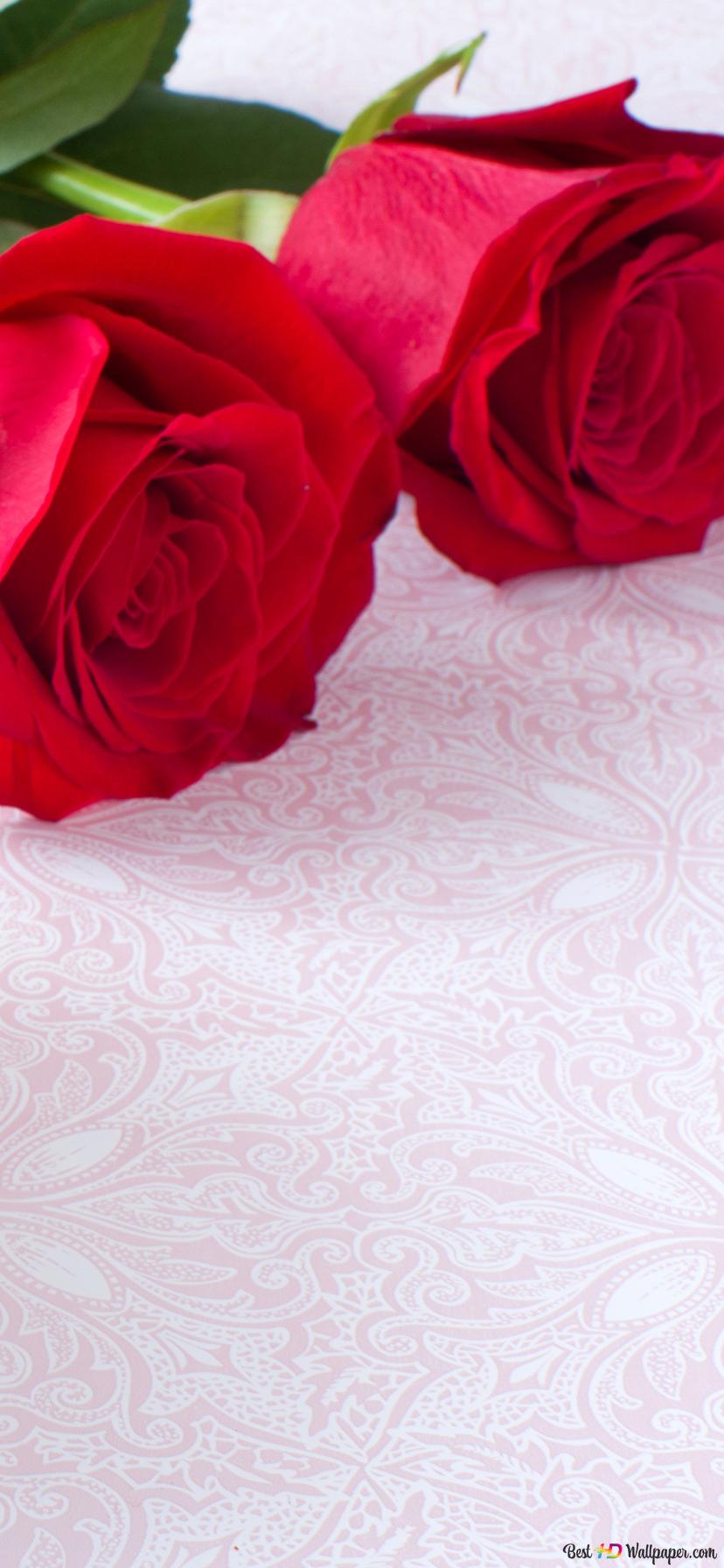 Valentine's day roses and heart box present 2K wallpaper download