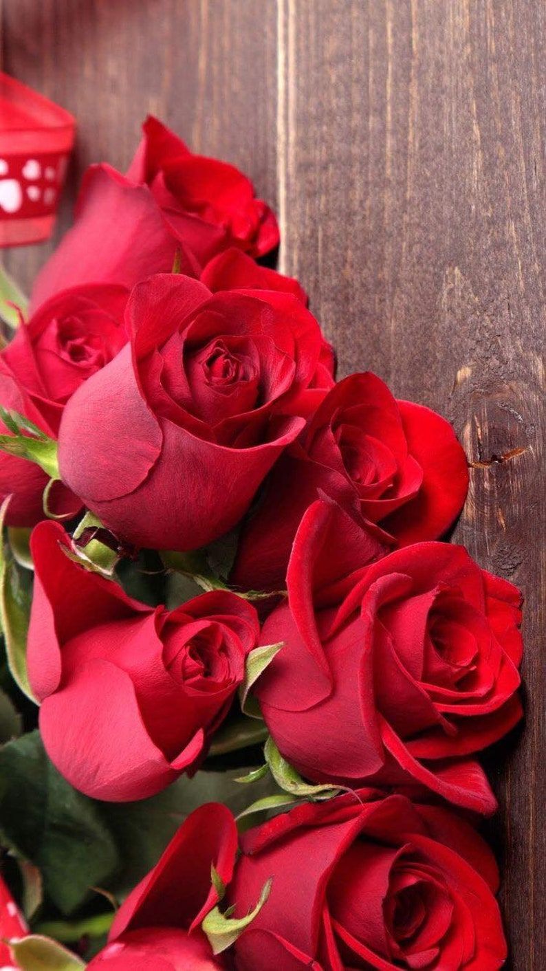 Ritual de la Rosa Roja Aumenta tu poder mágico en 100 España. Rosas bonitas, Imagenes de rosas bonitas, Flores bonitas