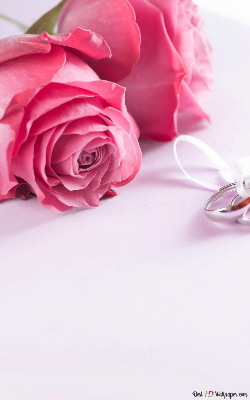 Valentine's day tied with ribbon 2K wallpaper download