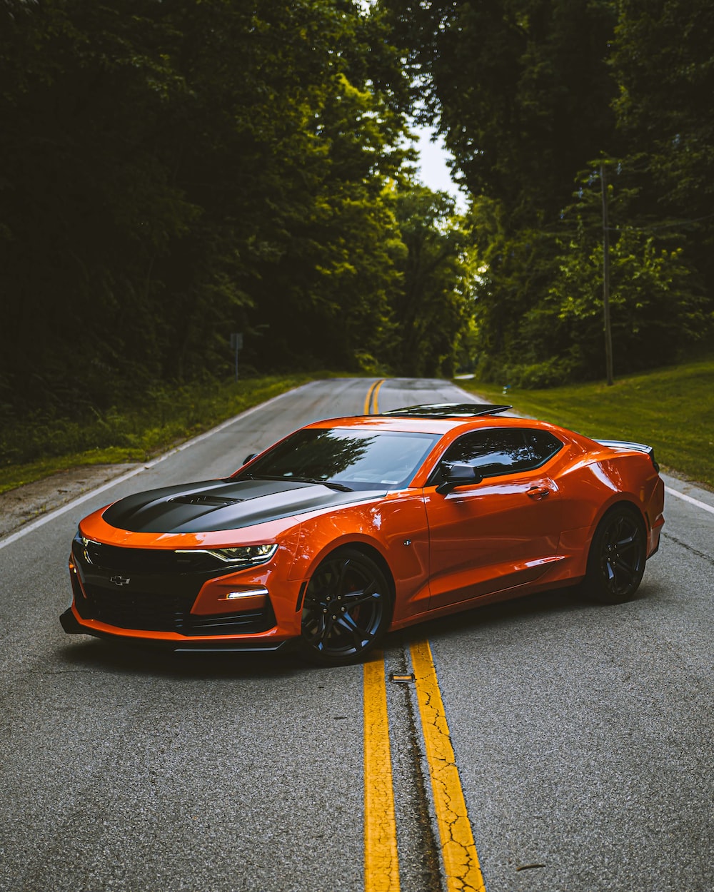 Chevrolet Camaro Picture. Download Free Image