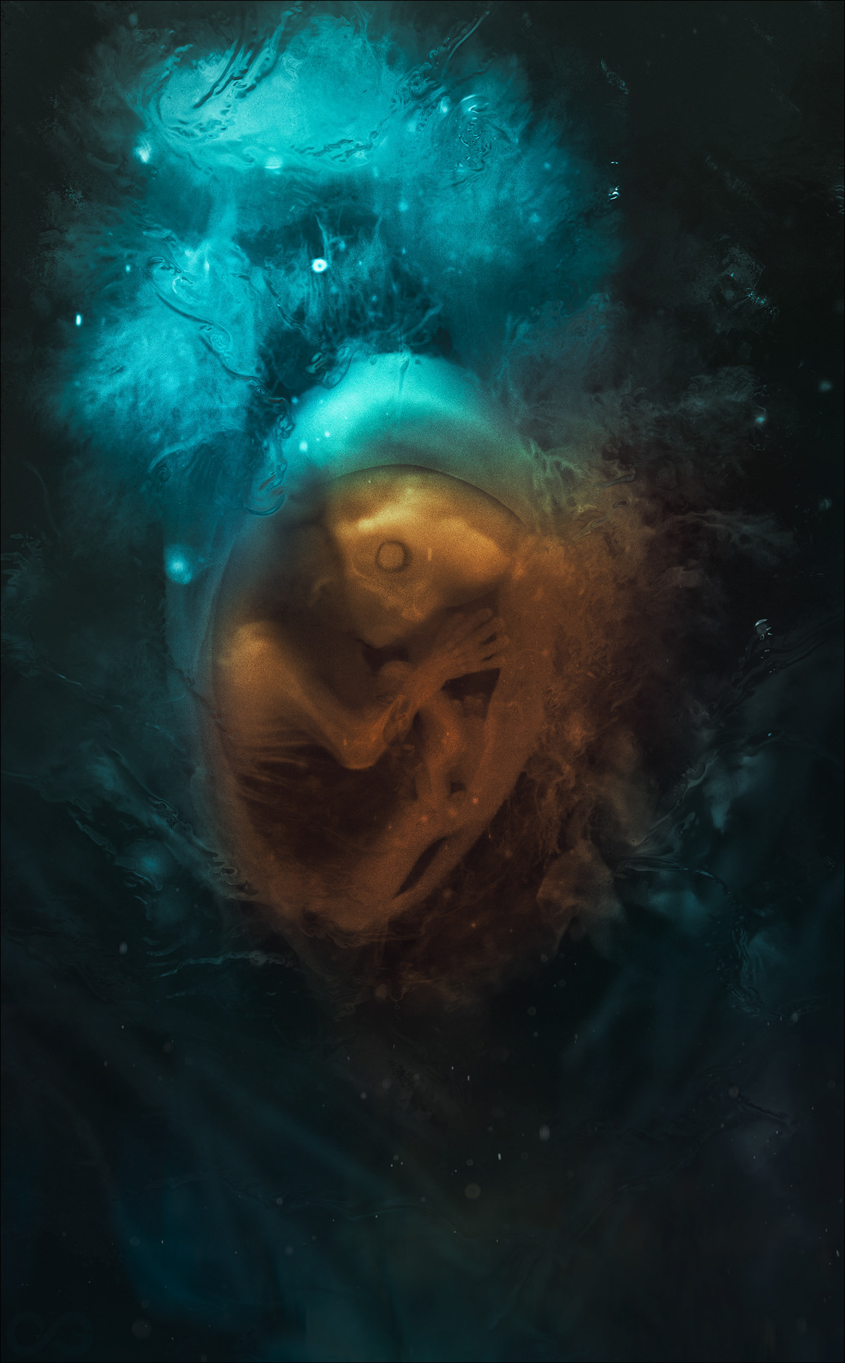 Futurum absolutum: Amnion
