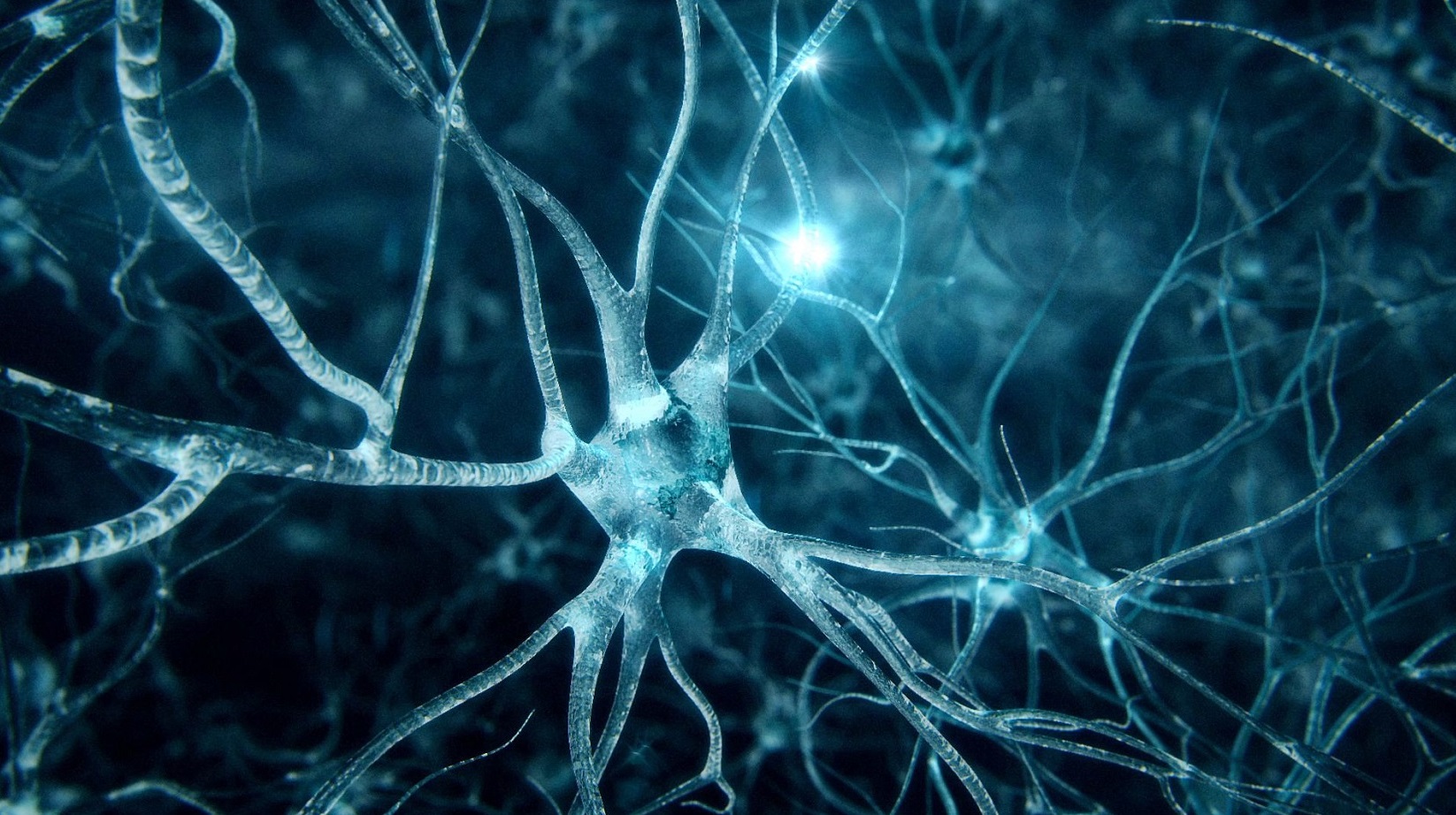 Transhumanism, organ on chip & fight against aging by Guilhem Velvé Casquillas for human longevity