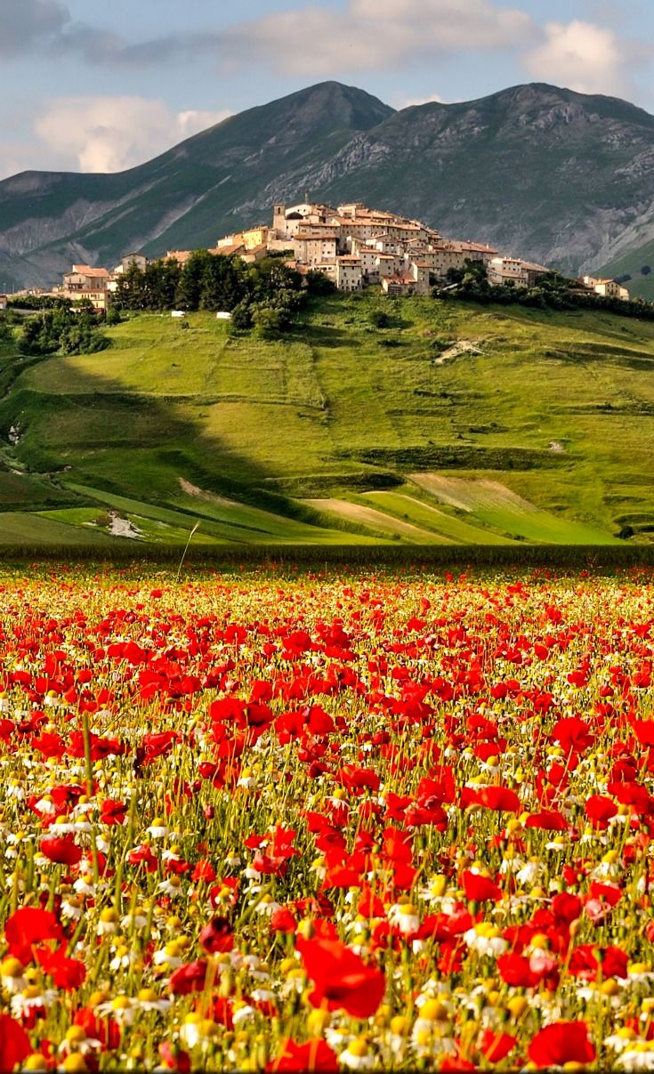 Castelluccio di Norcia Fioritura 2013. Italy vacation, Beautiful places, Places to see