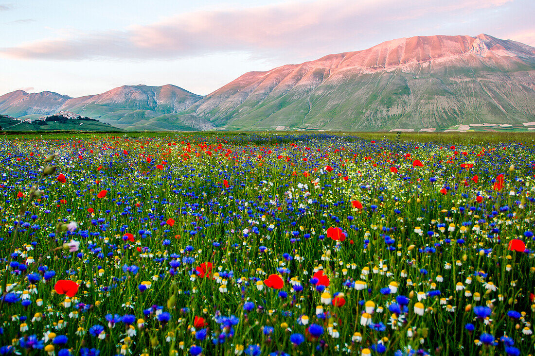 Castelluccio di Norcia, Umbria, Italy