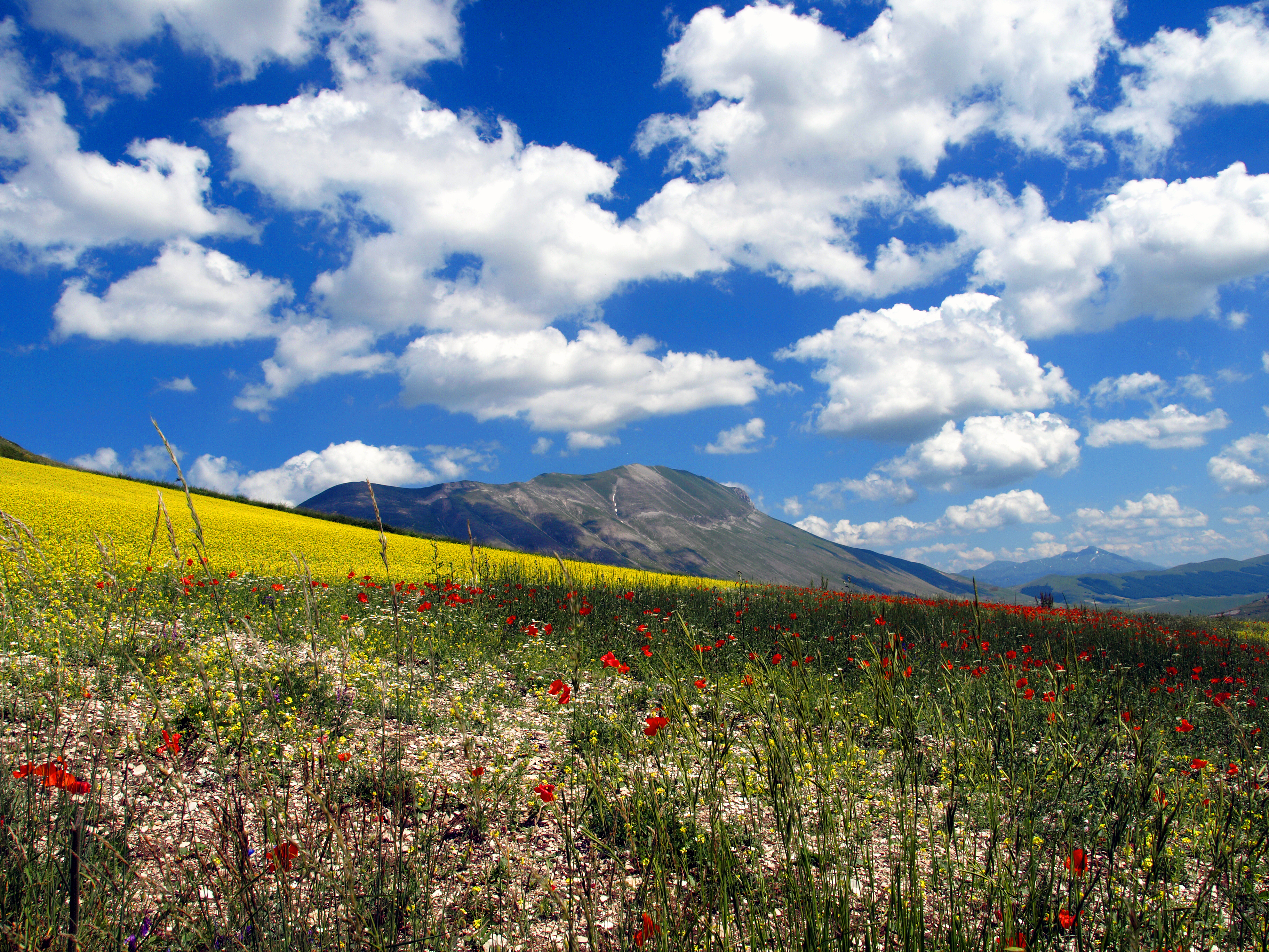 Good Sights: Italy