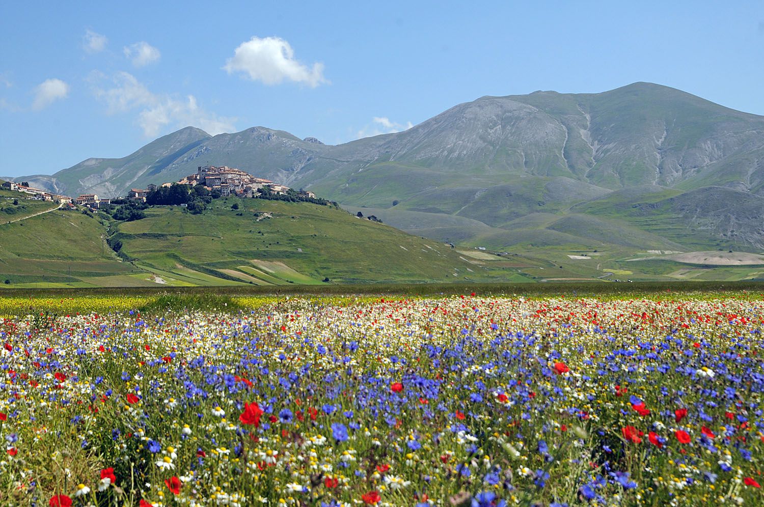Castelluccio di Norcia. Italy photography, Italy image, Umbria