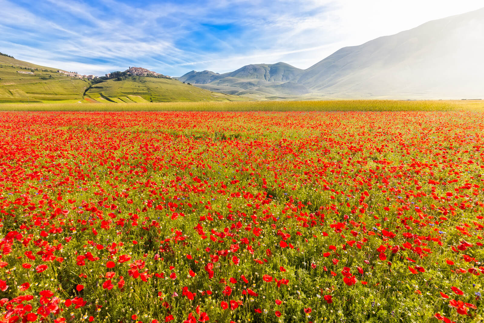 In Umbria, Experiencing 'La Fiorita'