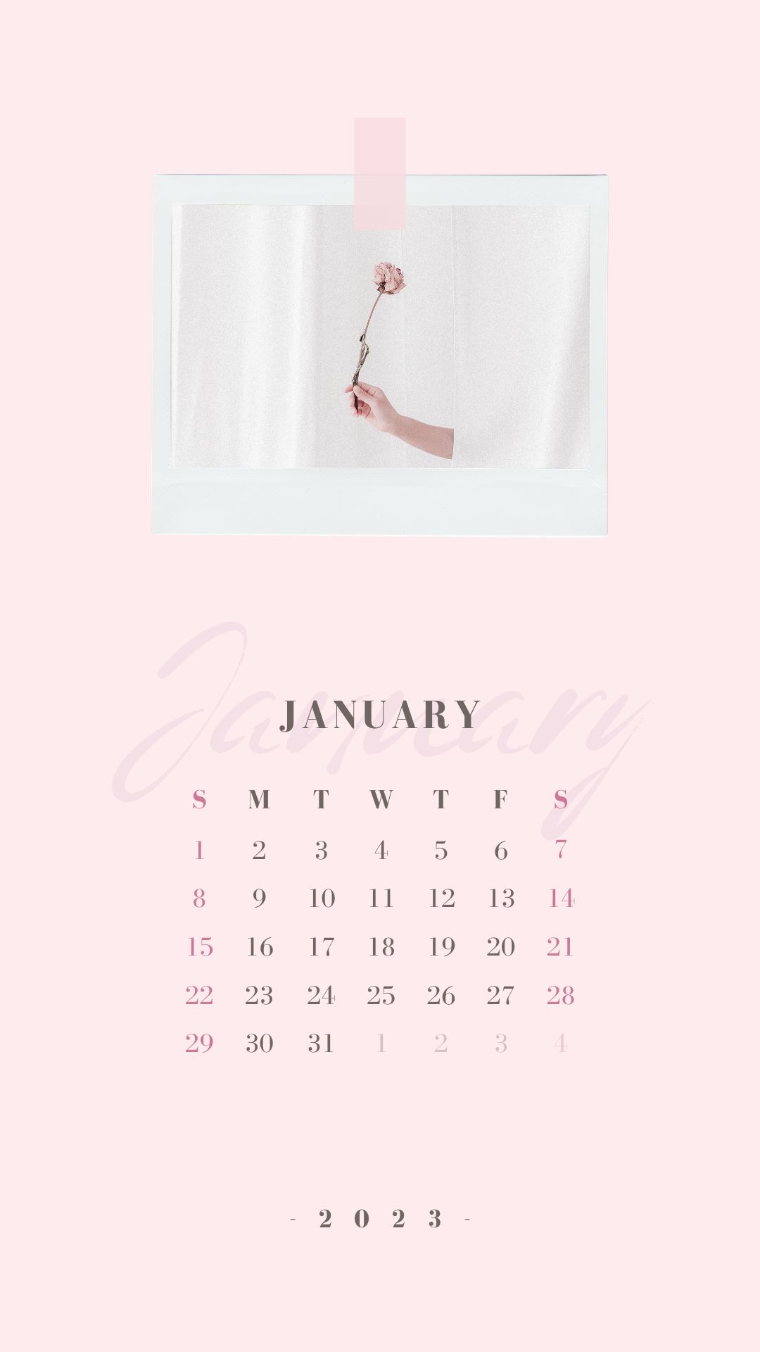 January 2023 Calendar Wallpapers  Top Free January 2023 Calendar  Backgrounds  WallpaperAccess
