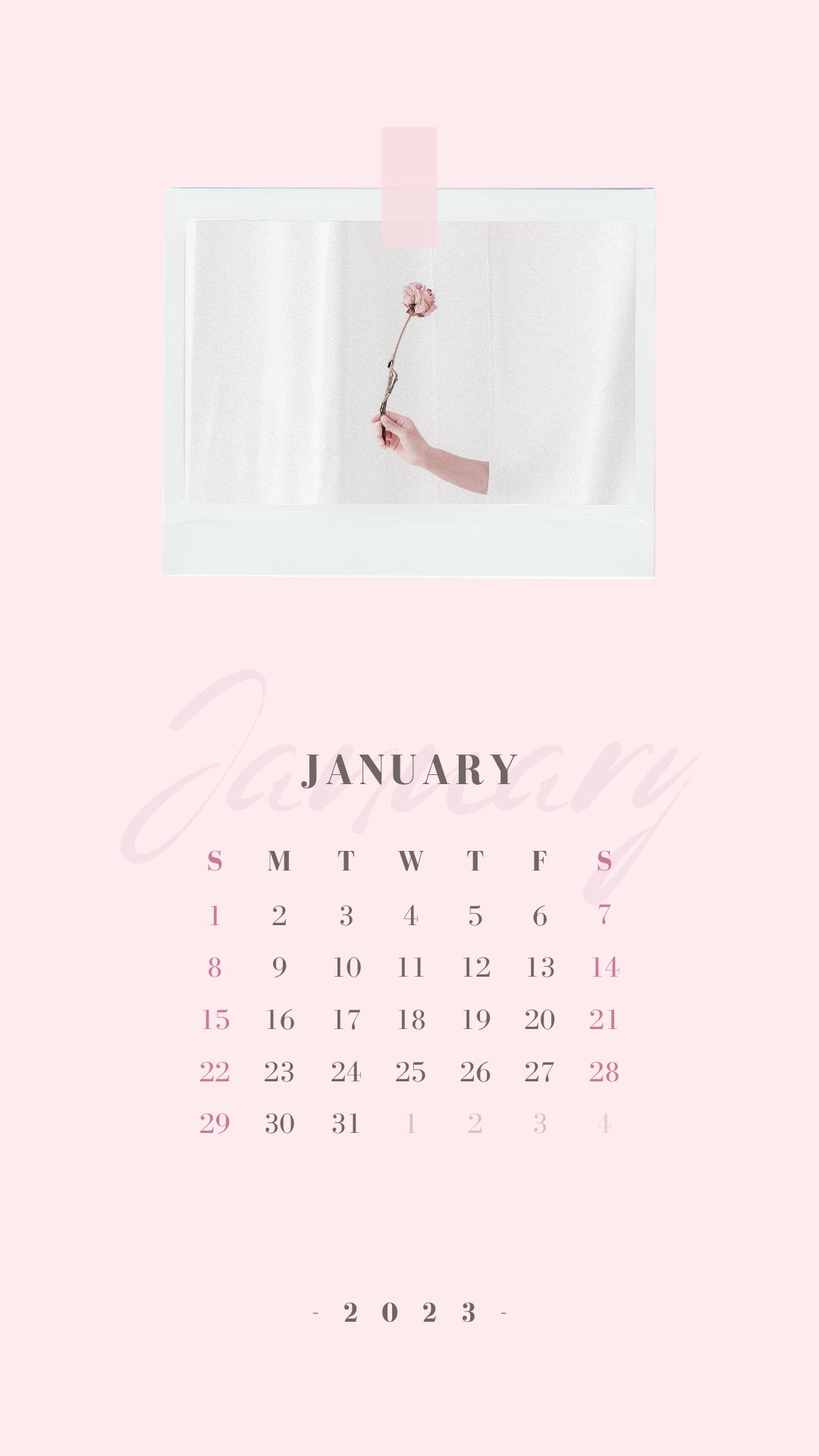 January 2023 Calendar Phone Wallpapers  Wallpaper Cave