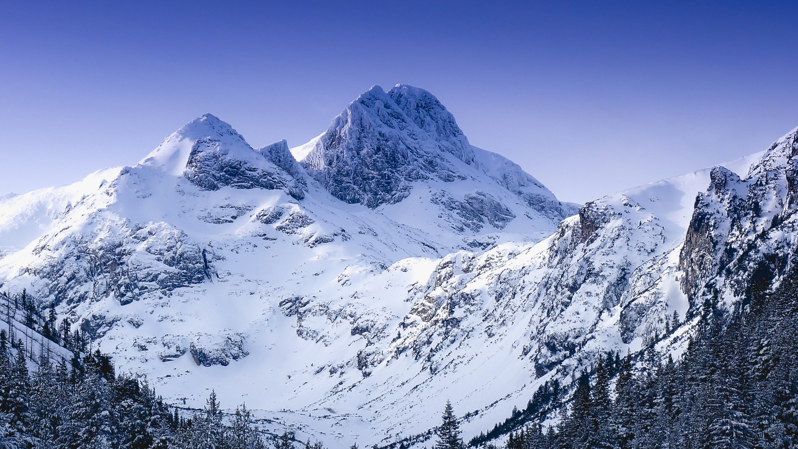 Download Winter, glacier, mountain, nature wallpaper, 2560x1440, Dual Wide, Widescreen 16:9, Widescreen