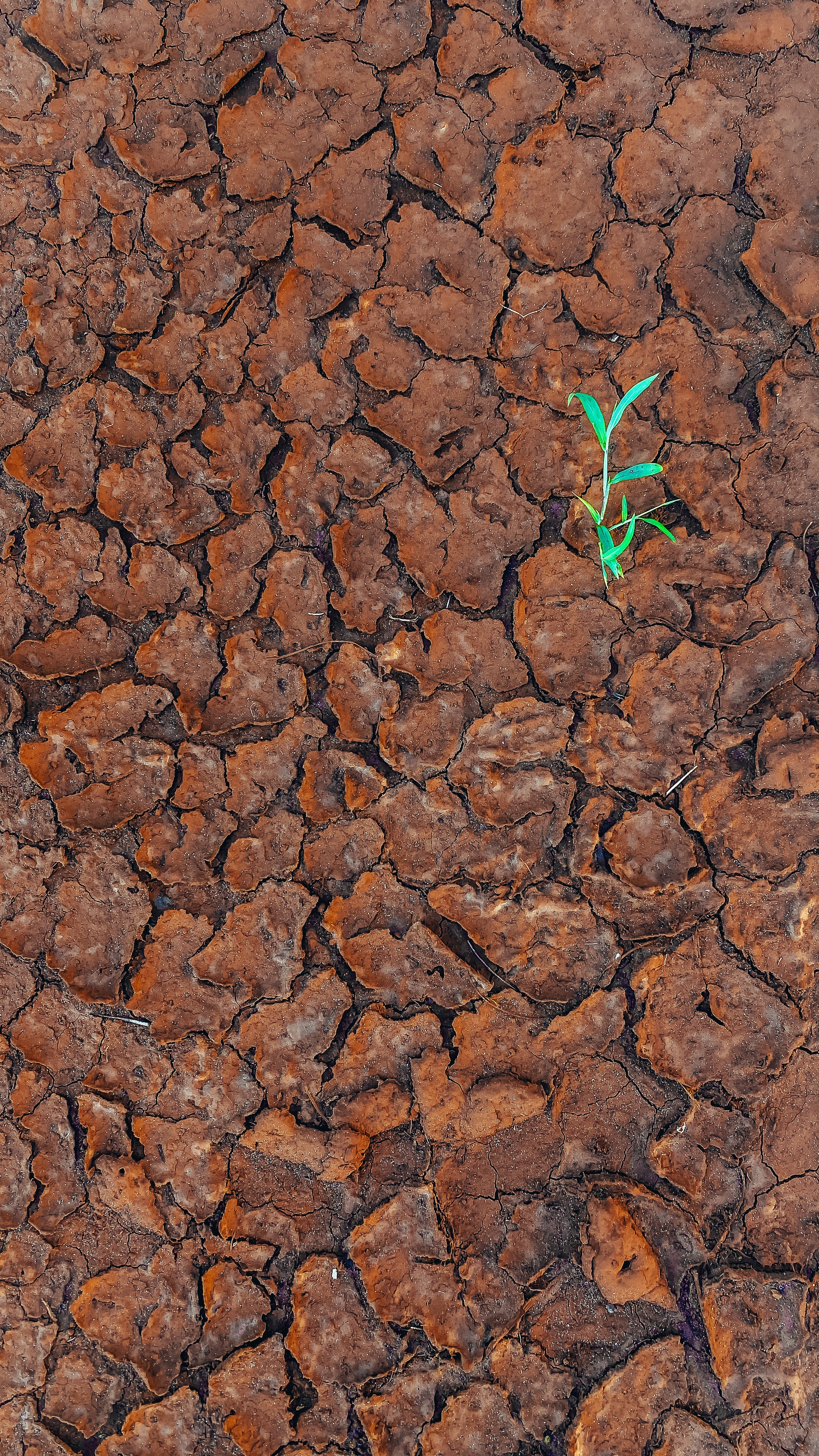 Desertification Photo, Download Free Desertification & HD Image