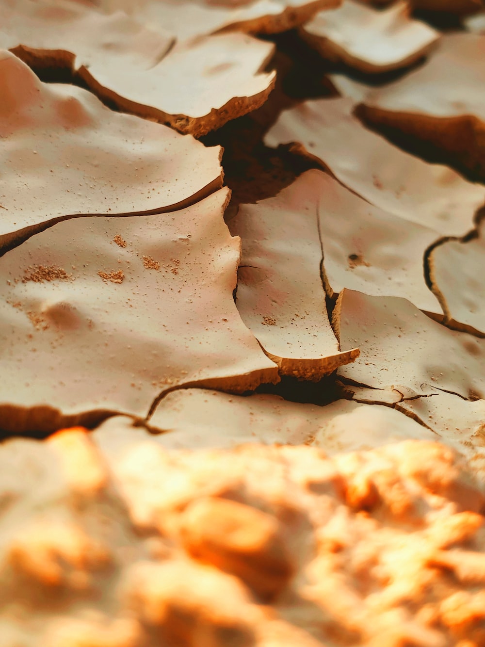 Desertification Picture. Download Free Image