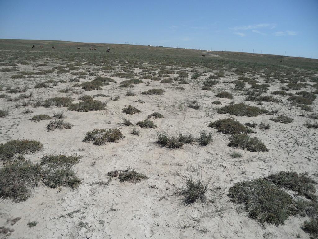 Land the size of South America will be degraded if current trends continue: UN Report