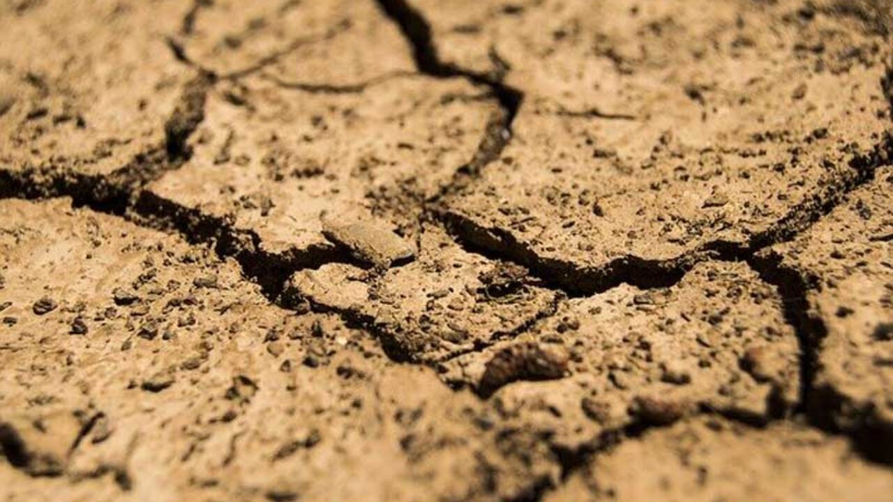 Stretching sands as desertification spreads to Europe