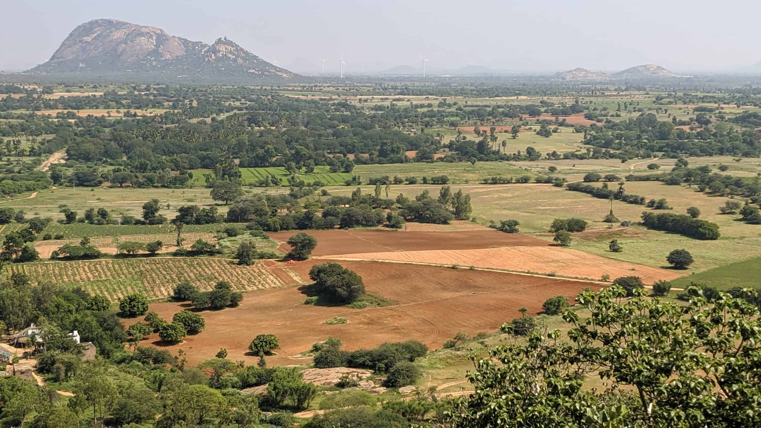 Reversing desertification in Andhra Pradesh: a case for 'engagement landscapes'